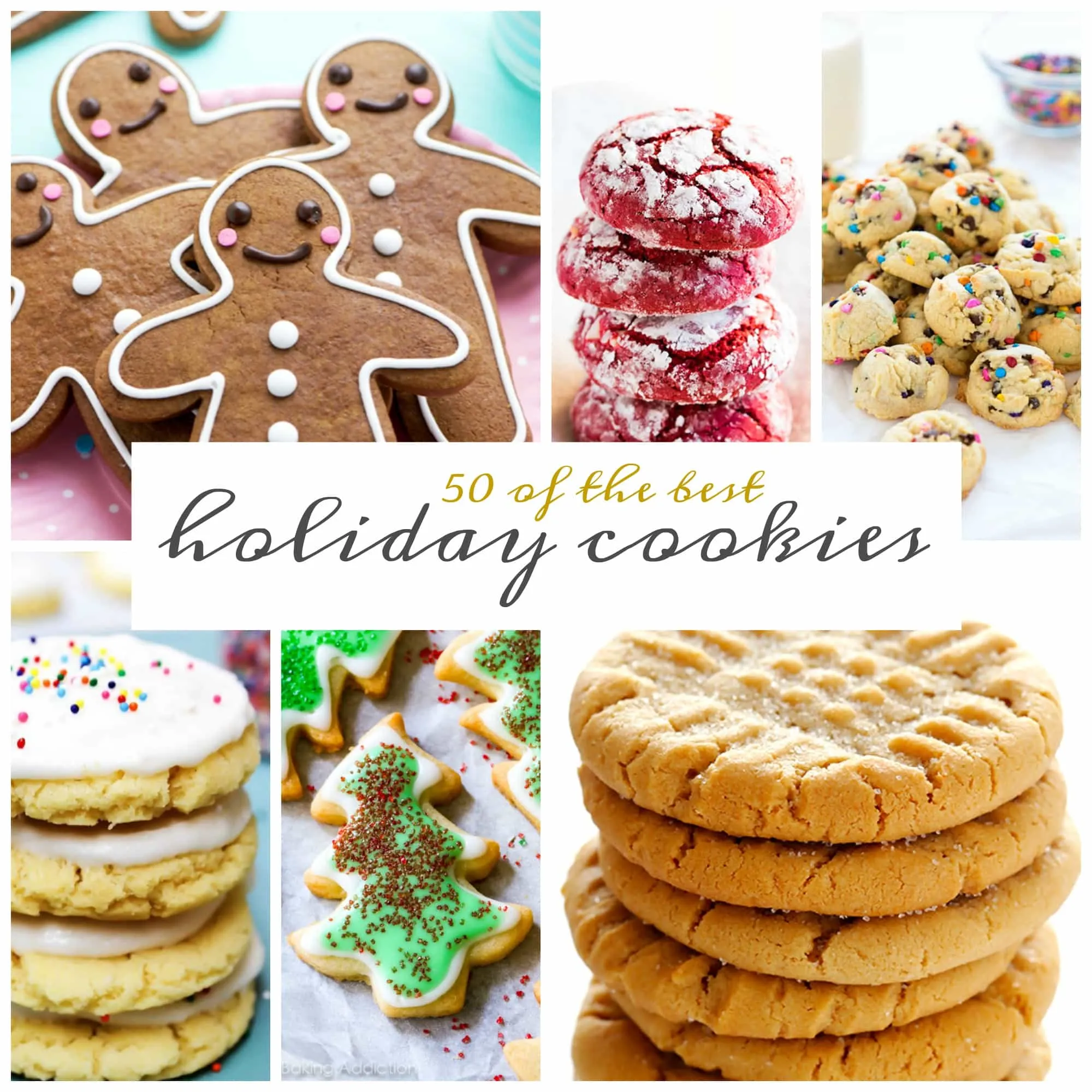 A Dash of Sanity's Christmas Cookie Favorites