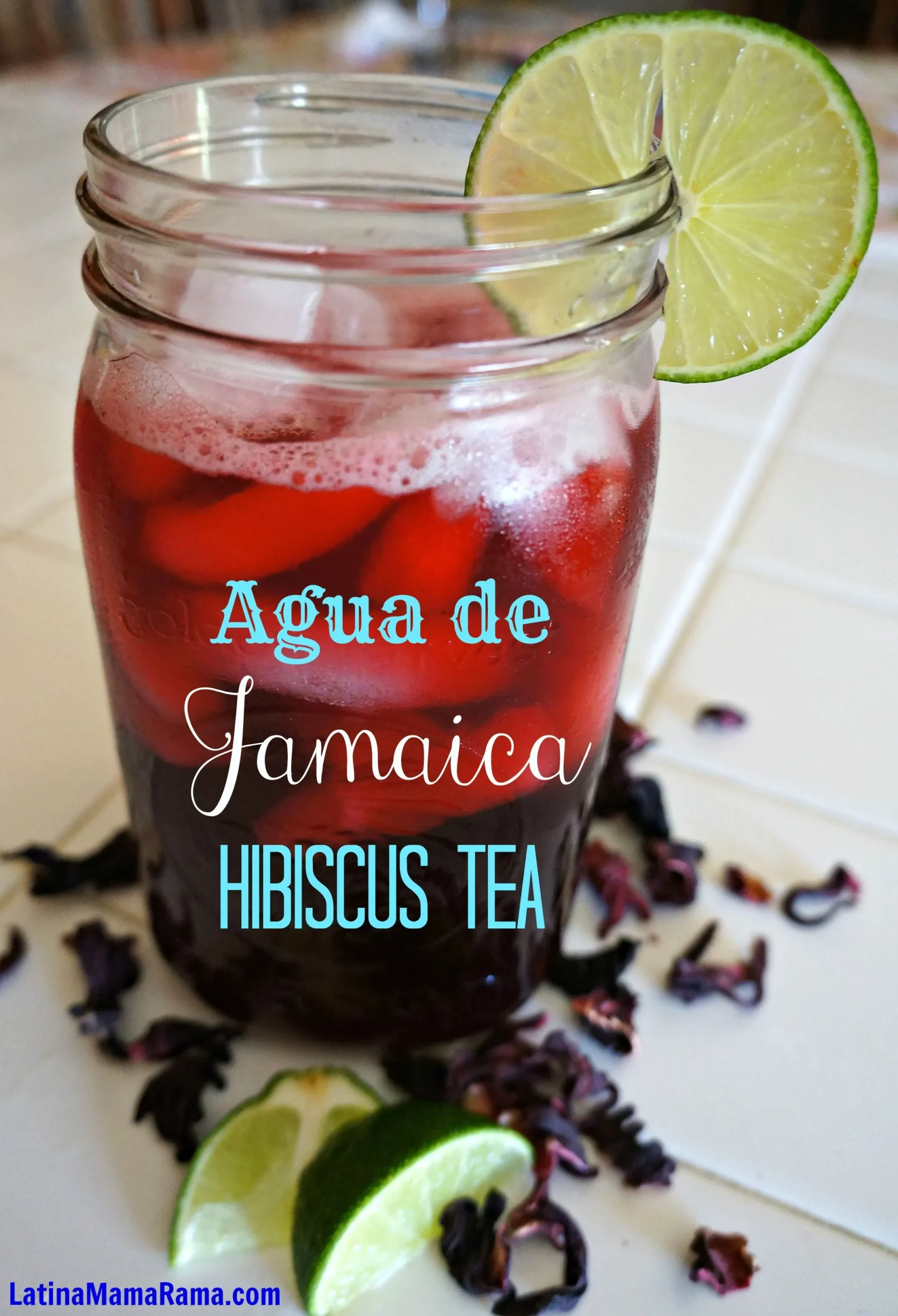 Agua de Jamaica Hibiscus Punch