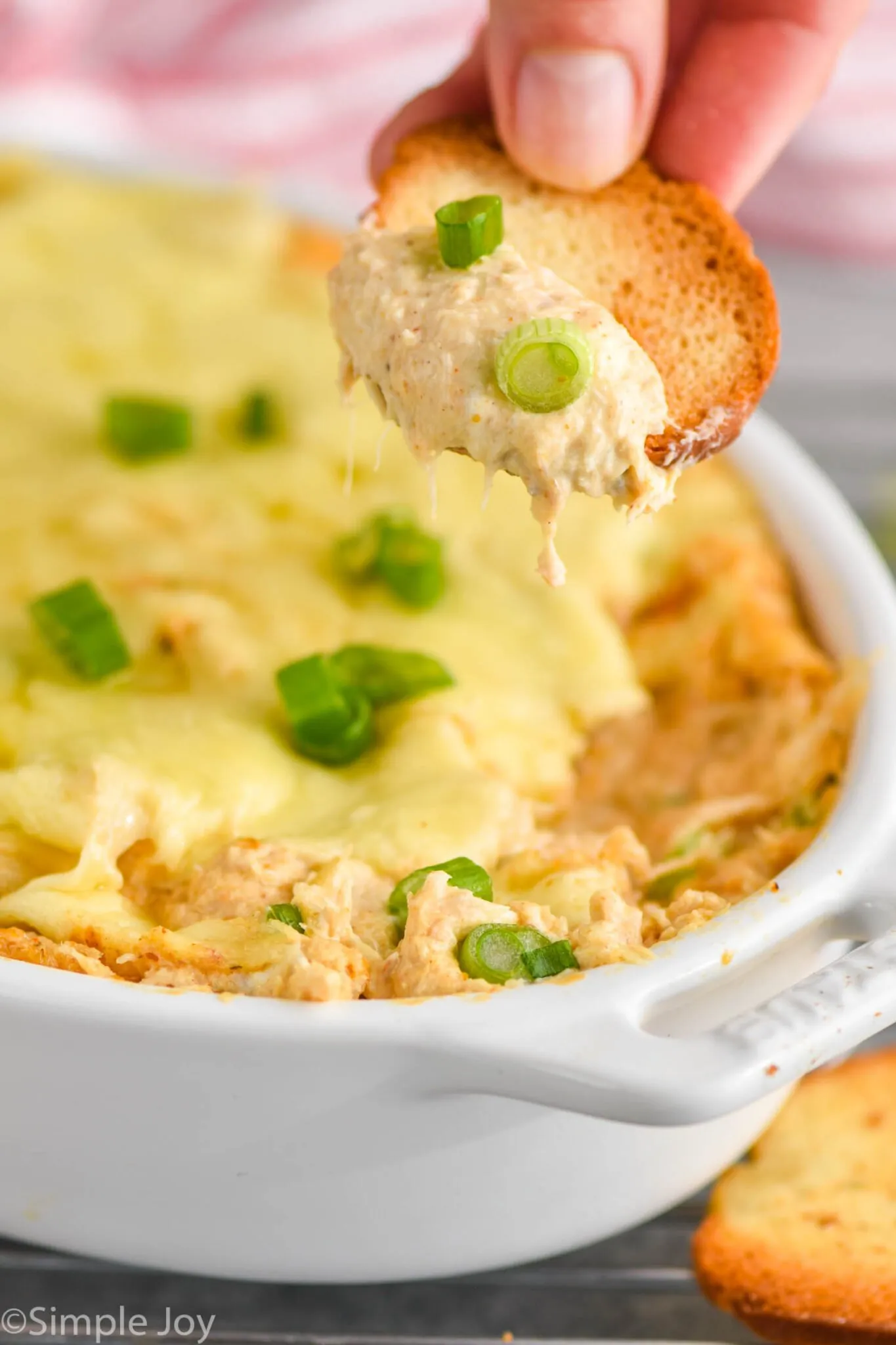 Ahns Hot Crab Dip