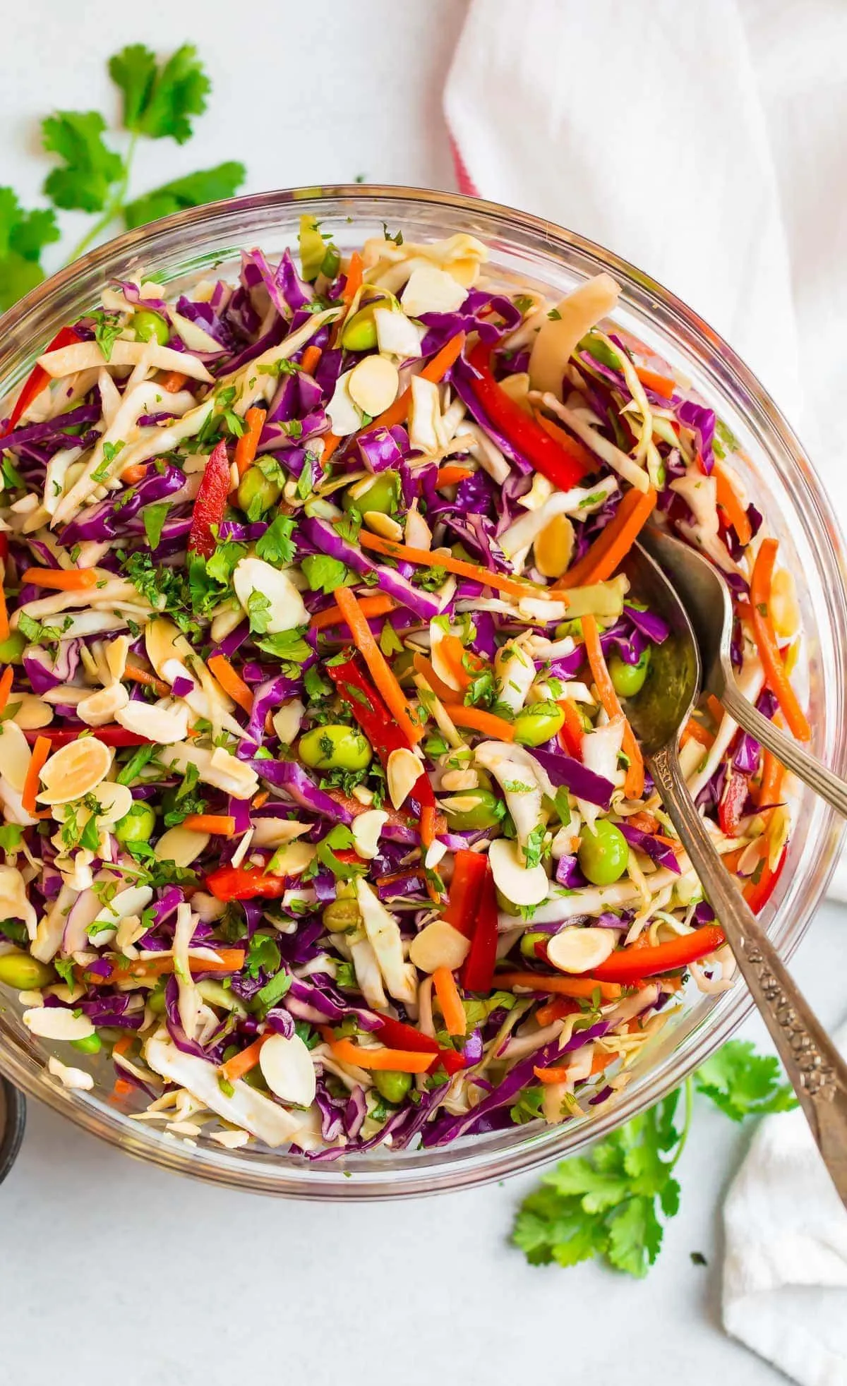 Asian Cole Slaw Salad
