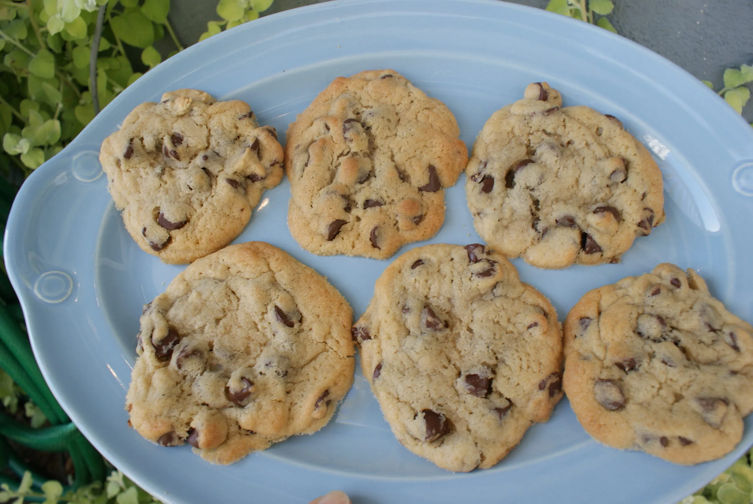 Aunt Alicia's Chocolate Chip Cookies