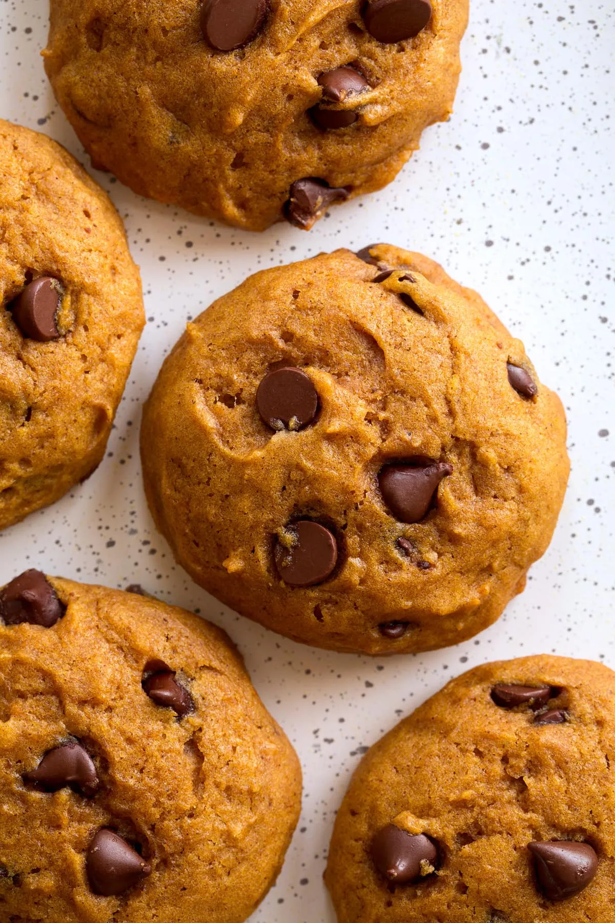 Awesome Pumpkin Chocolate Chip Cookies