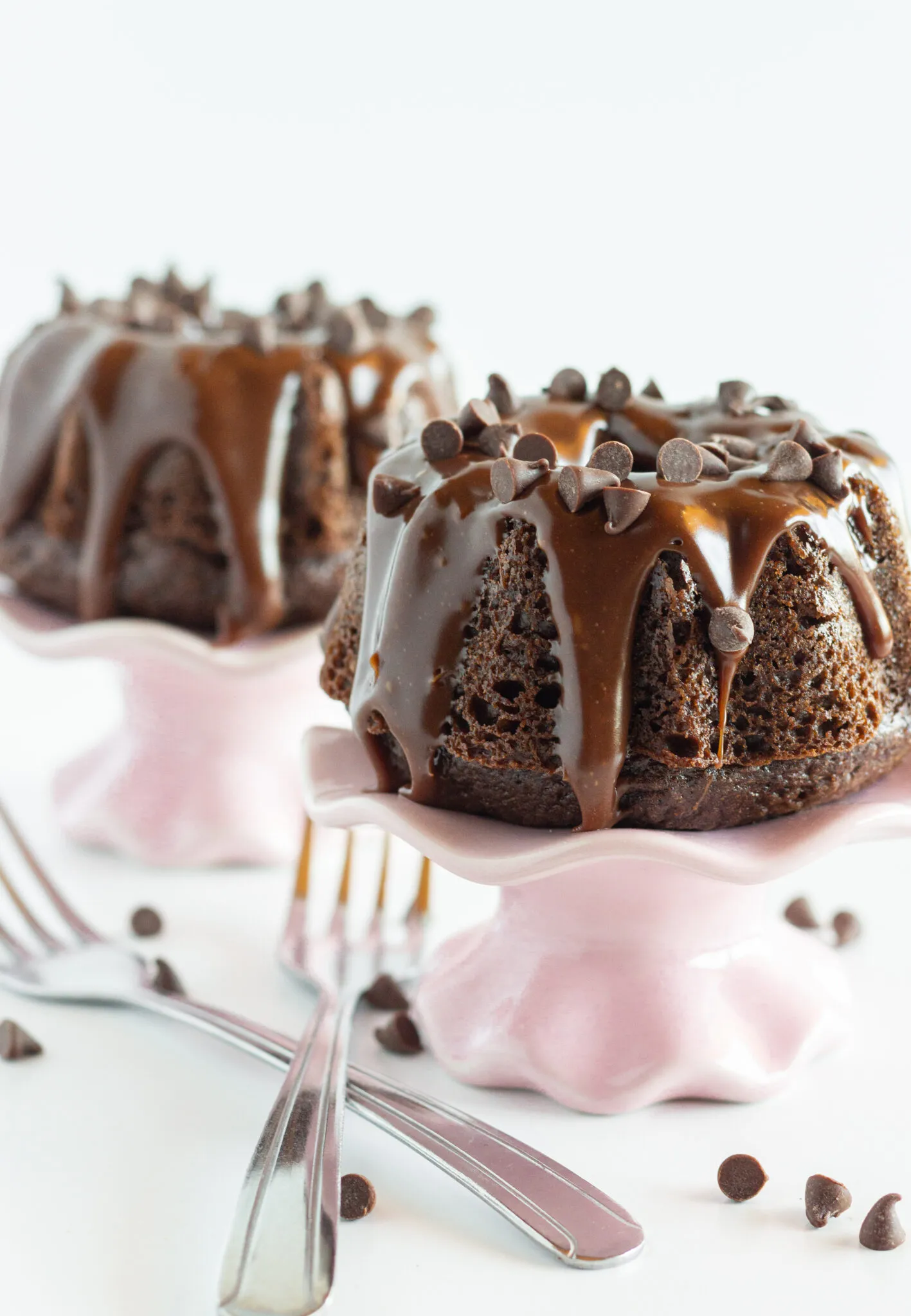 Baby Chocolate Bundt Cakes for Fair