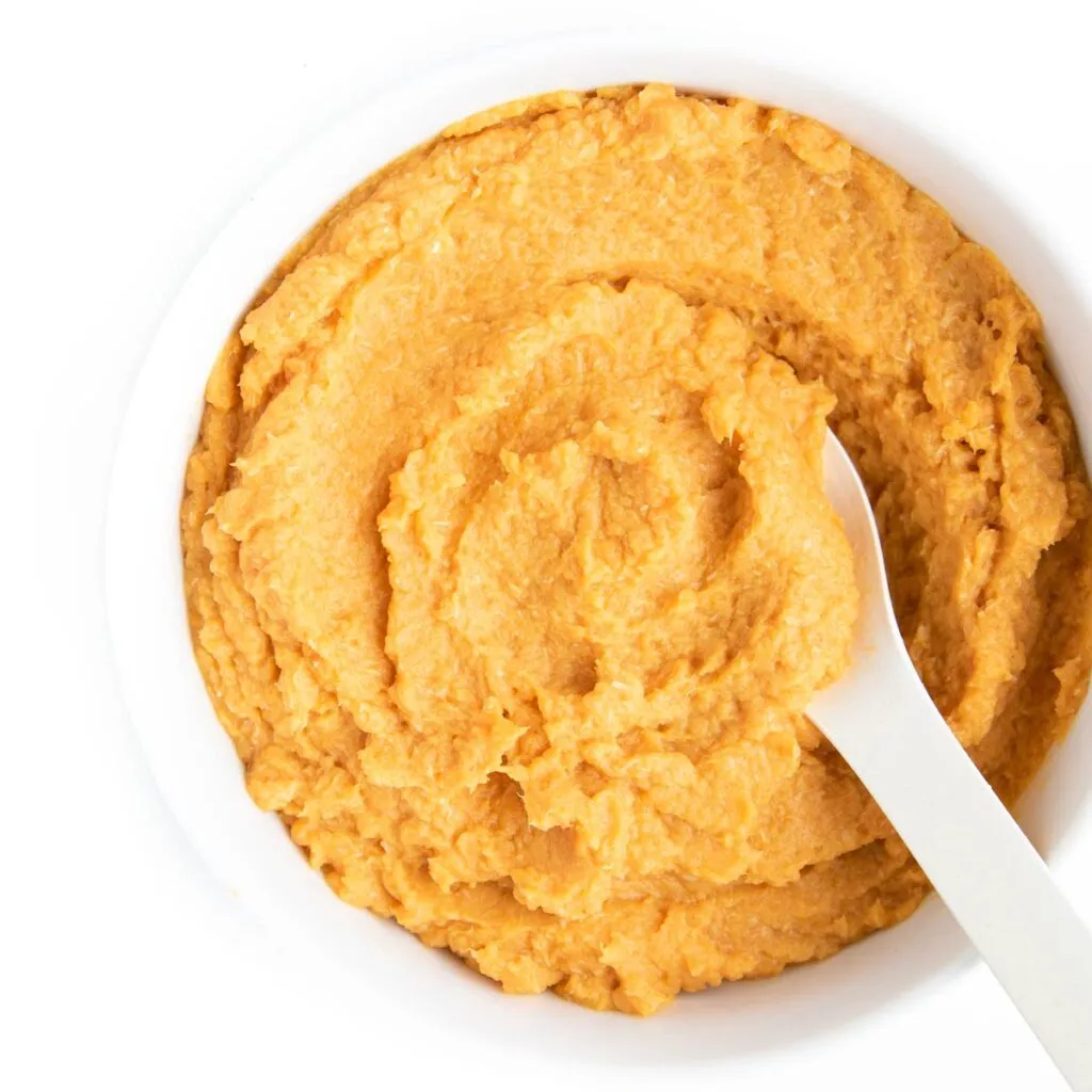 Baby Food Chicken Carrot Baby Puree