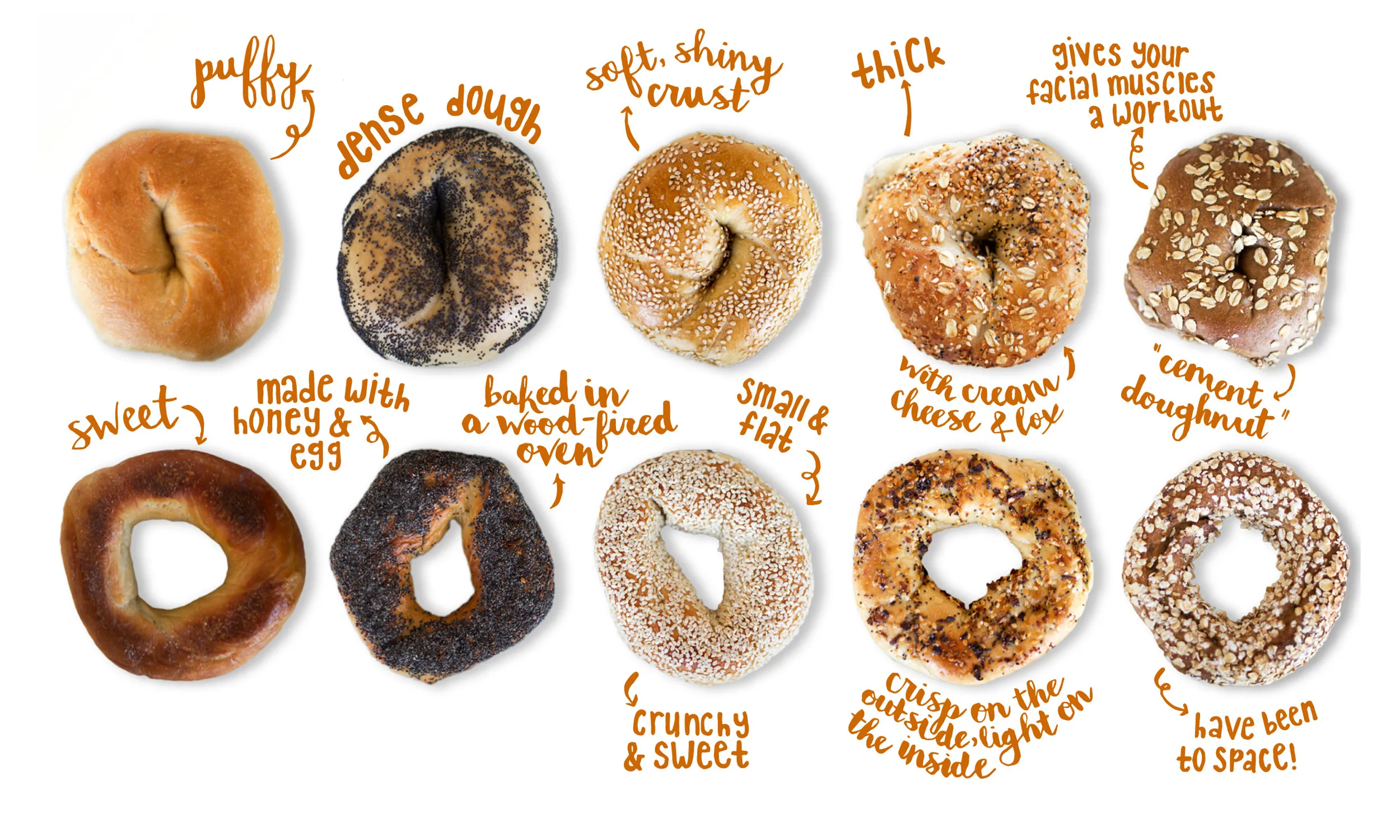 Bagels with Variations I