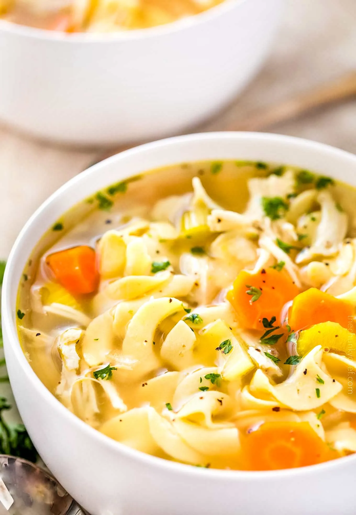 Basic Chicken Noodle Soup