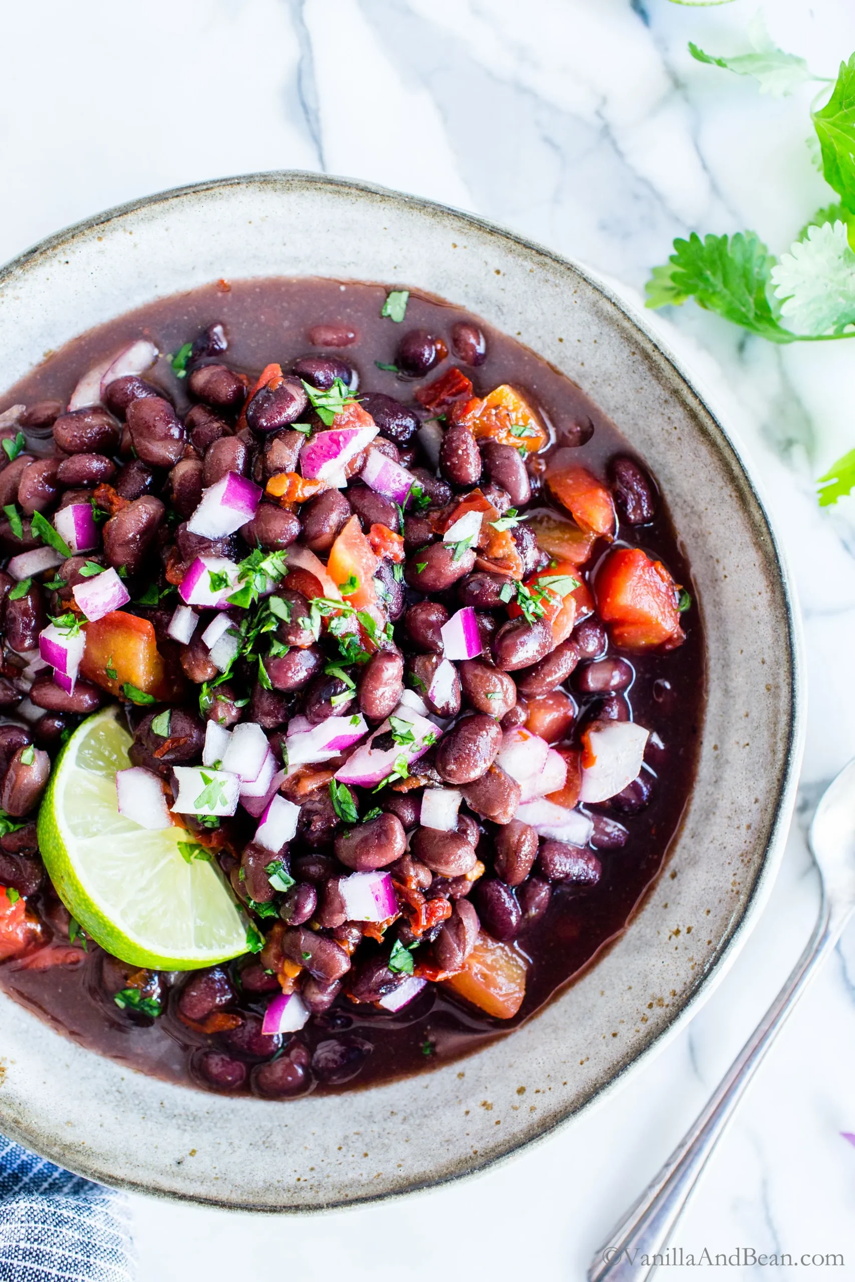 Basic Mexican Bean Filling