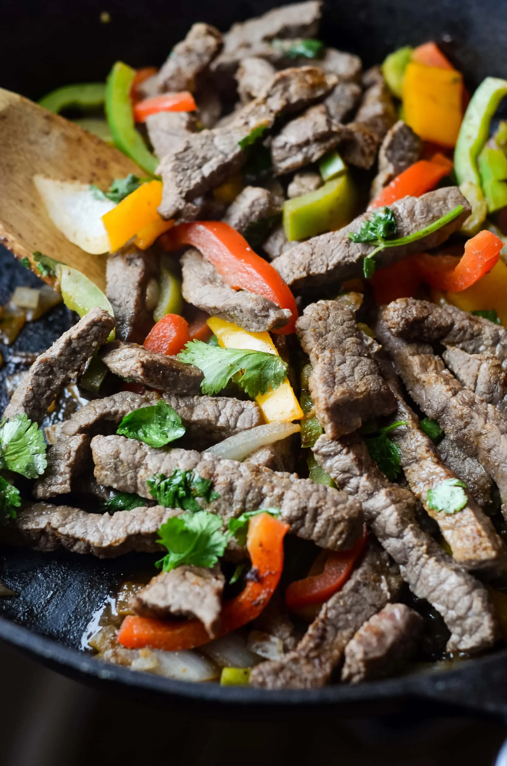 Beef and Vegetable Fajita