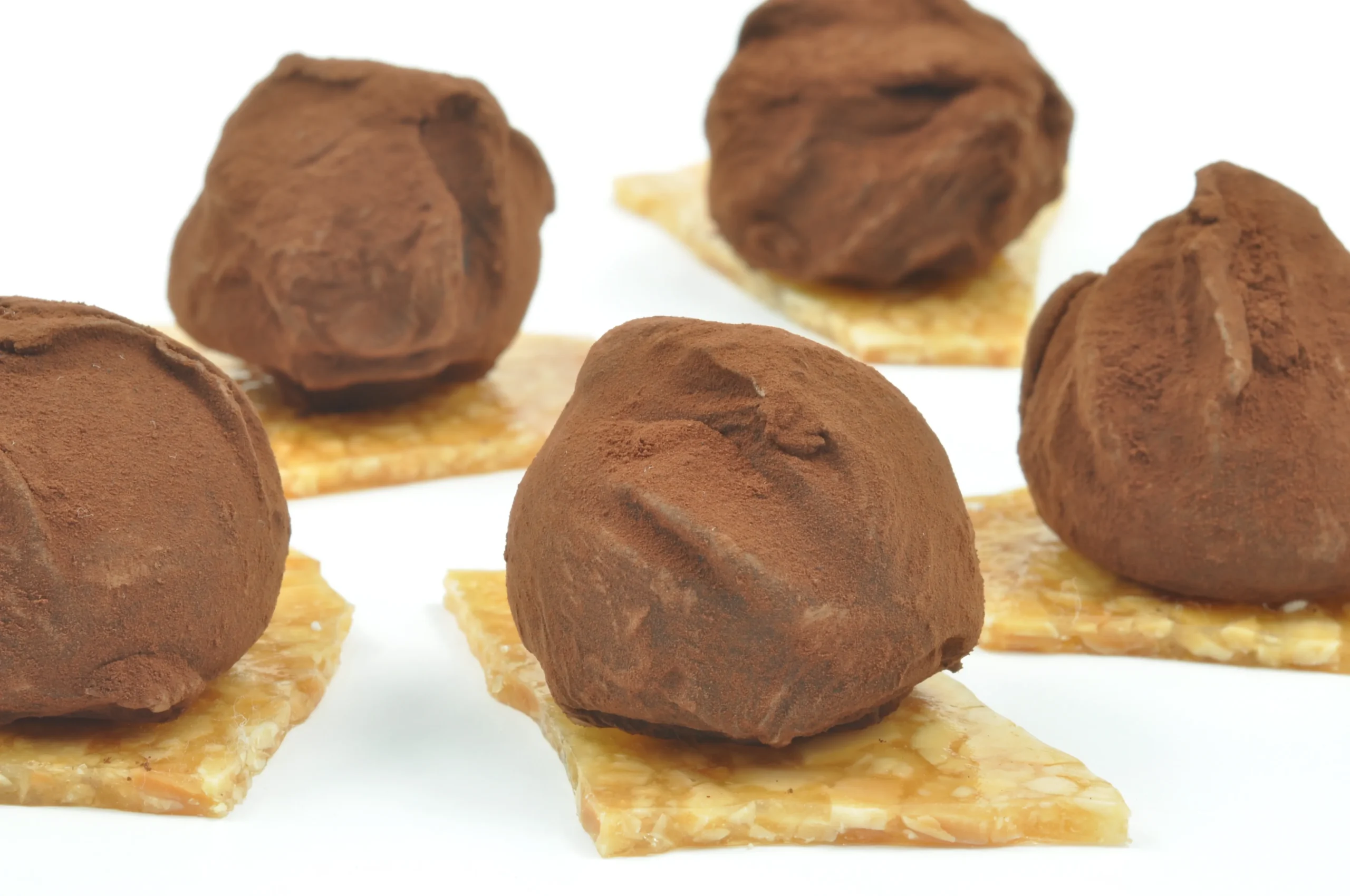 Belgian Dark Chocolate Truffles