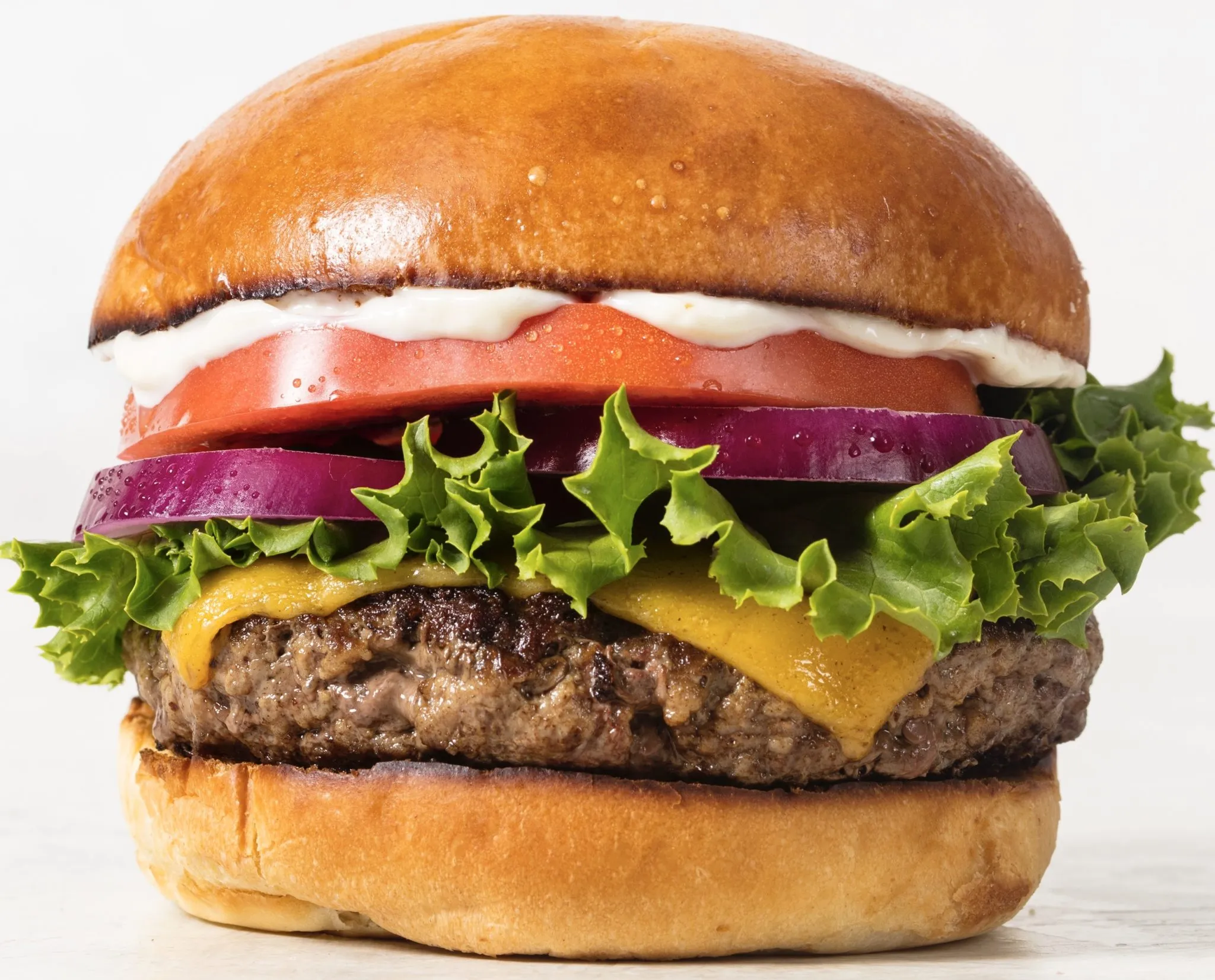 Big Beef Burger Patties