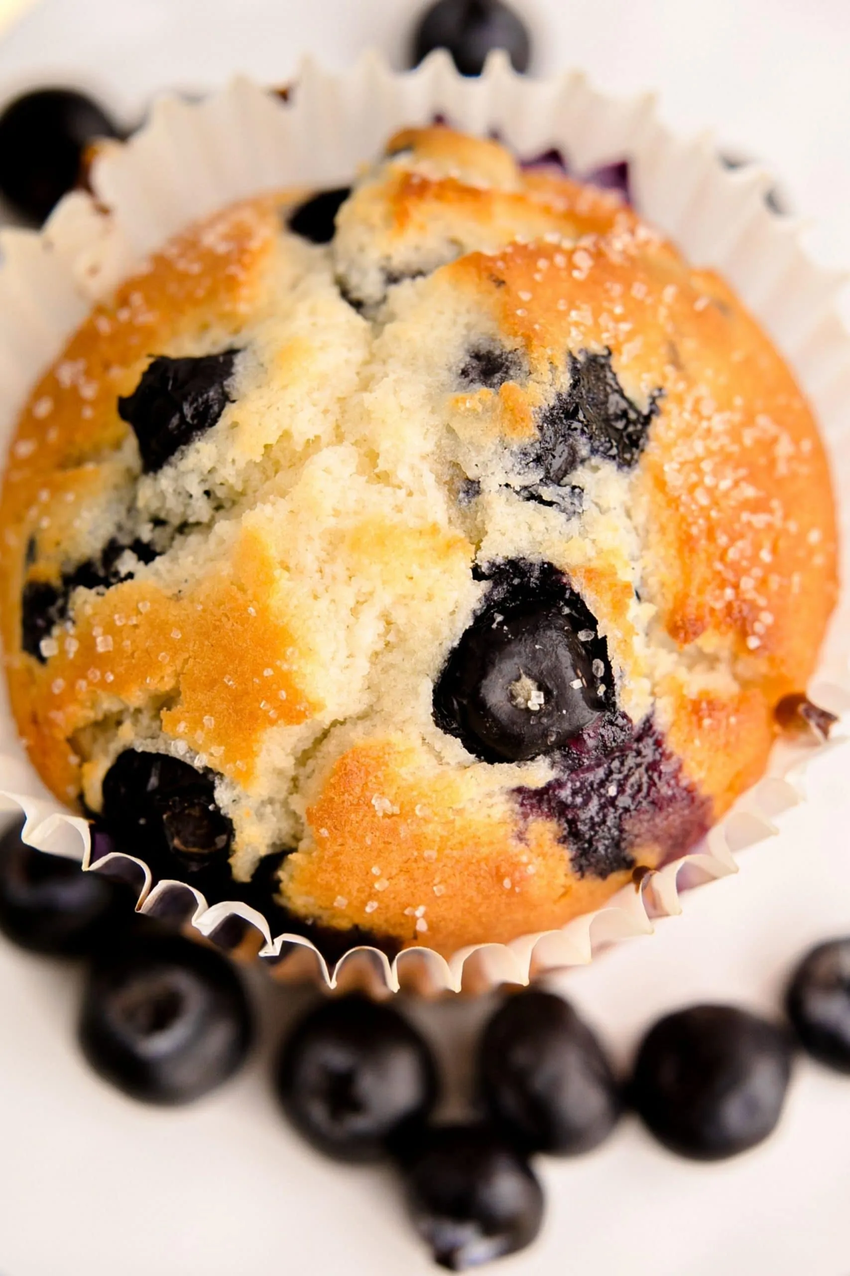 Big Blues Blueberry Muffins