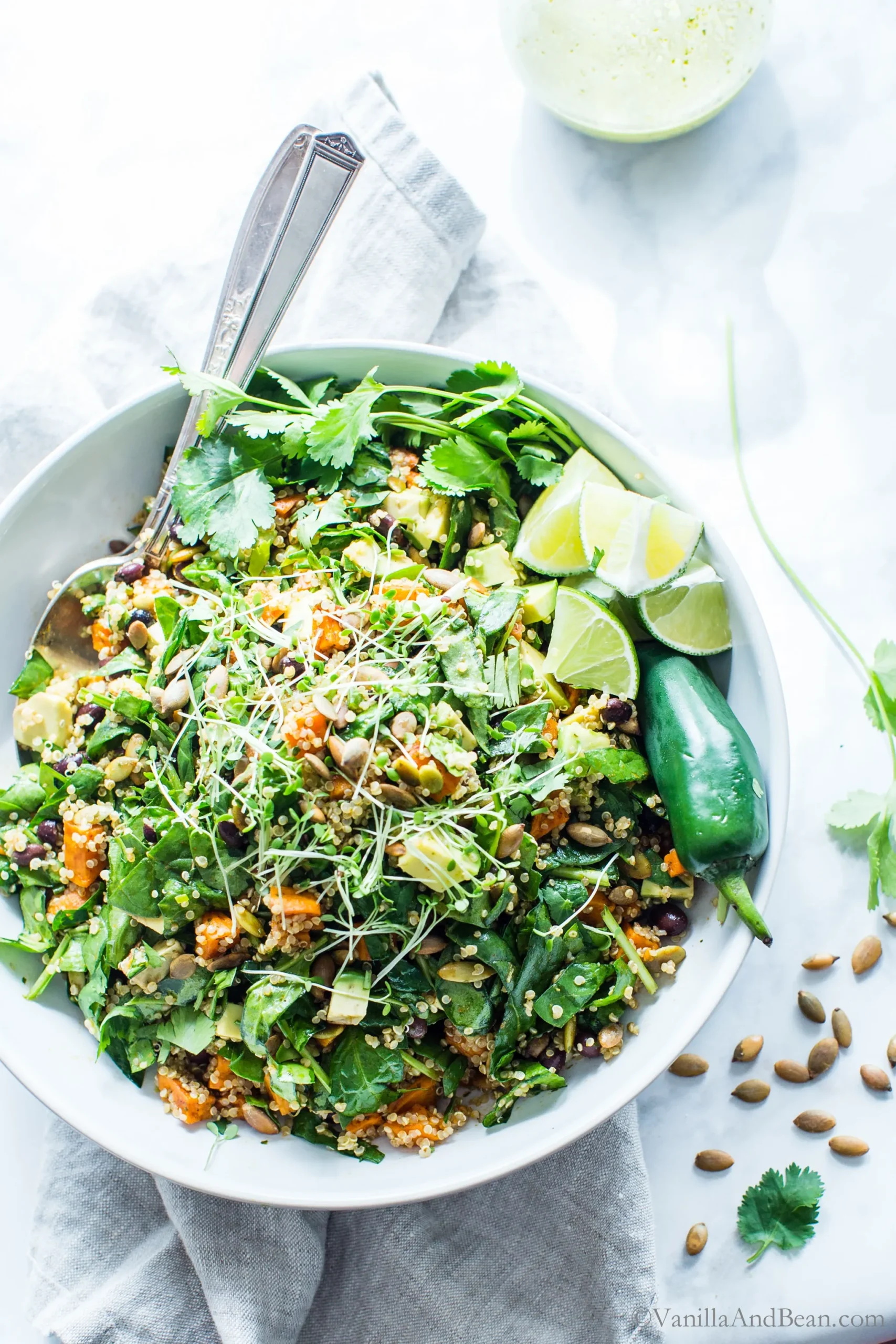 Black Bean Sweet Potato Quinoa Salad with Smoky Pepitas and Roasted Jalapeno Lime Dressing
