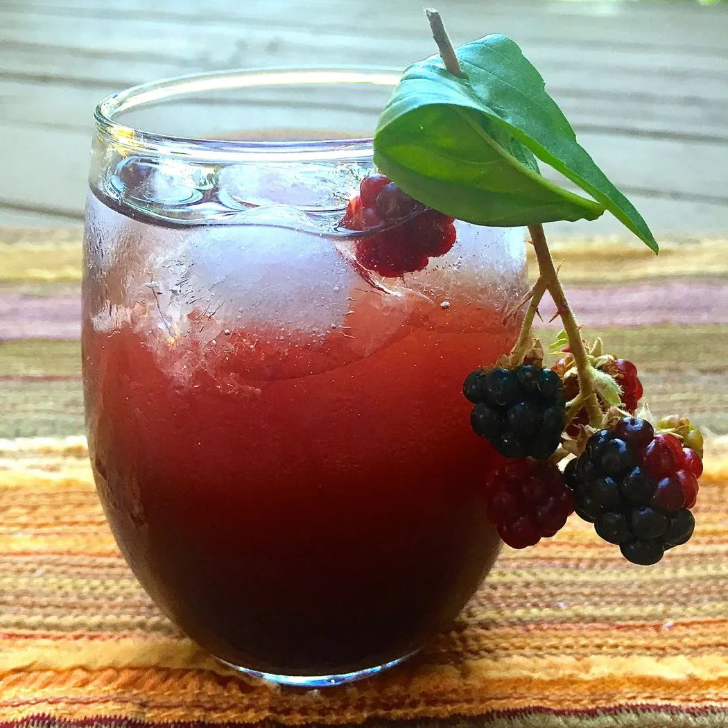Blackberry Basil Vodka Cocktail