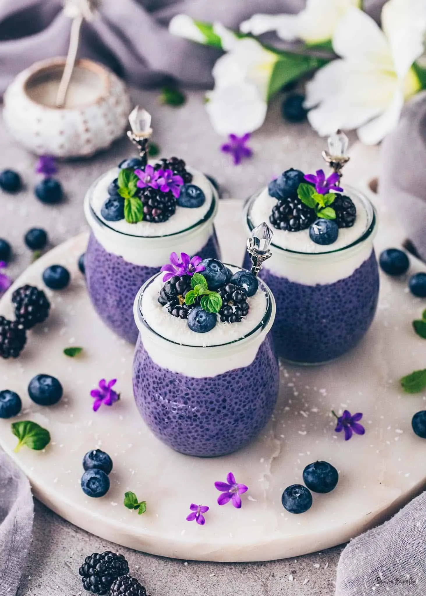Blaubeer Chia Pudding Torte