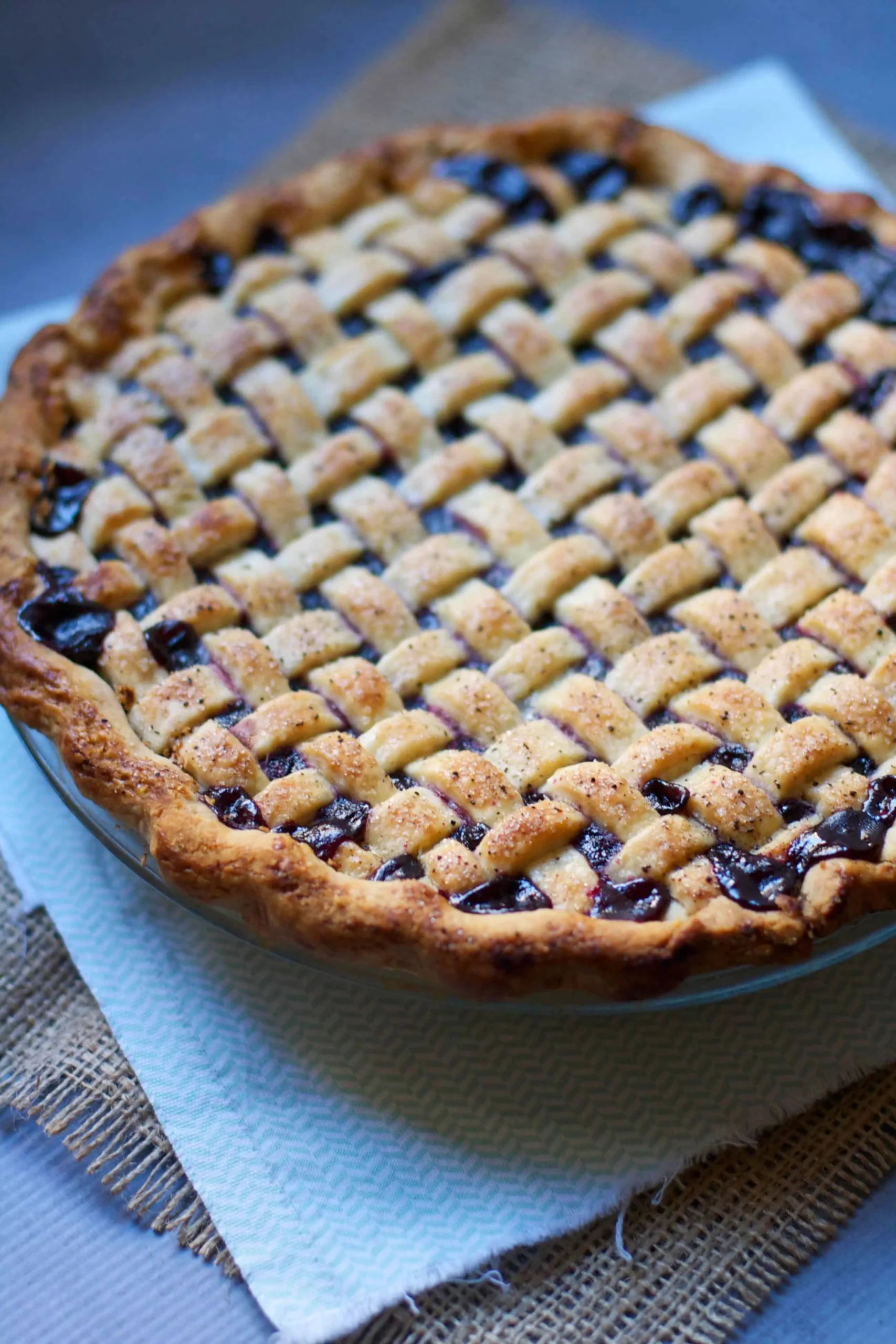 Blueberry Cranberry Meringue Pie