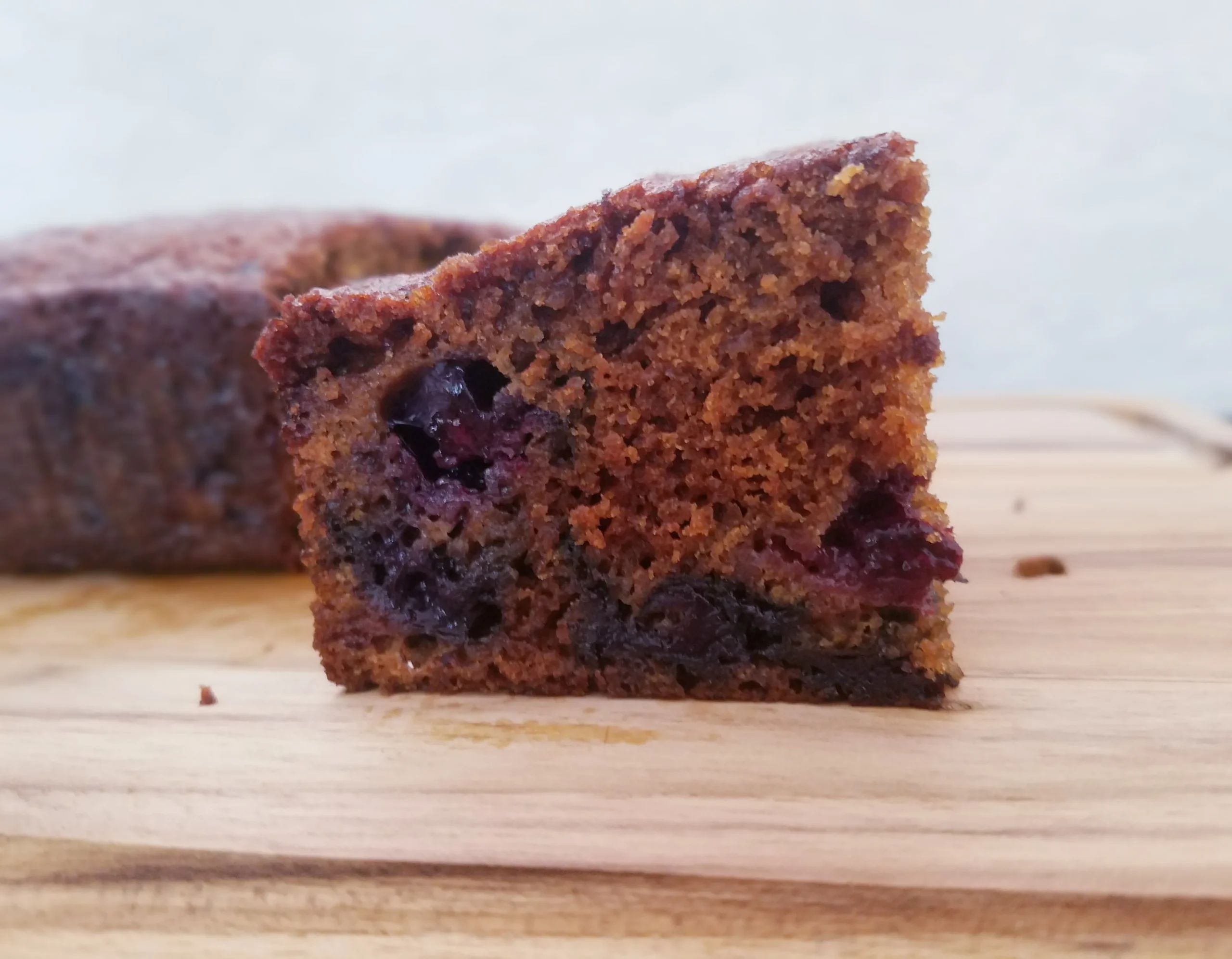 Blueberry Molasses Snack Cake