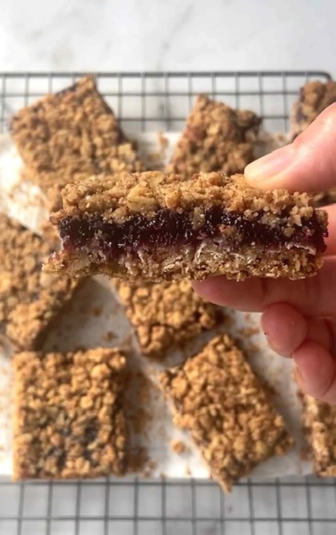 Blueberry Pecan Oat Bars