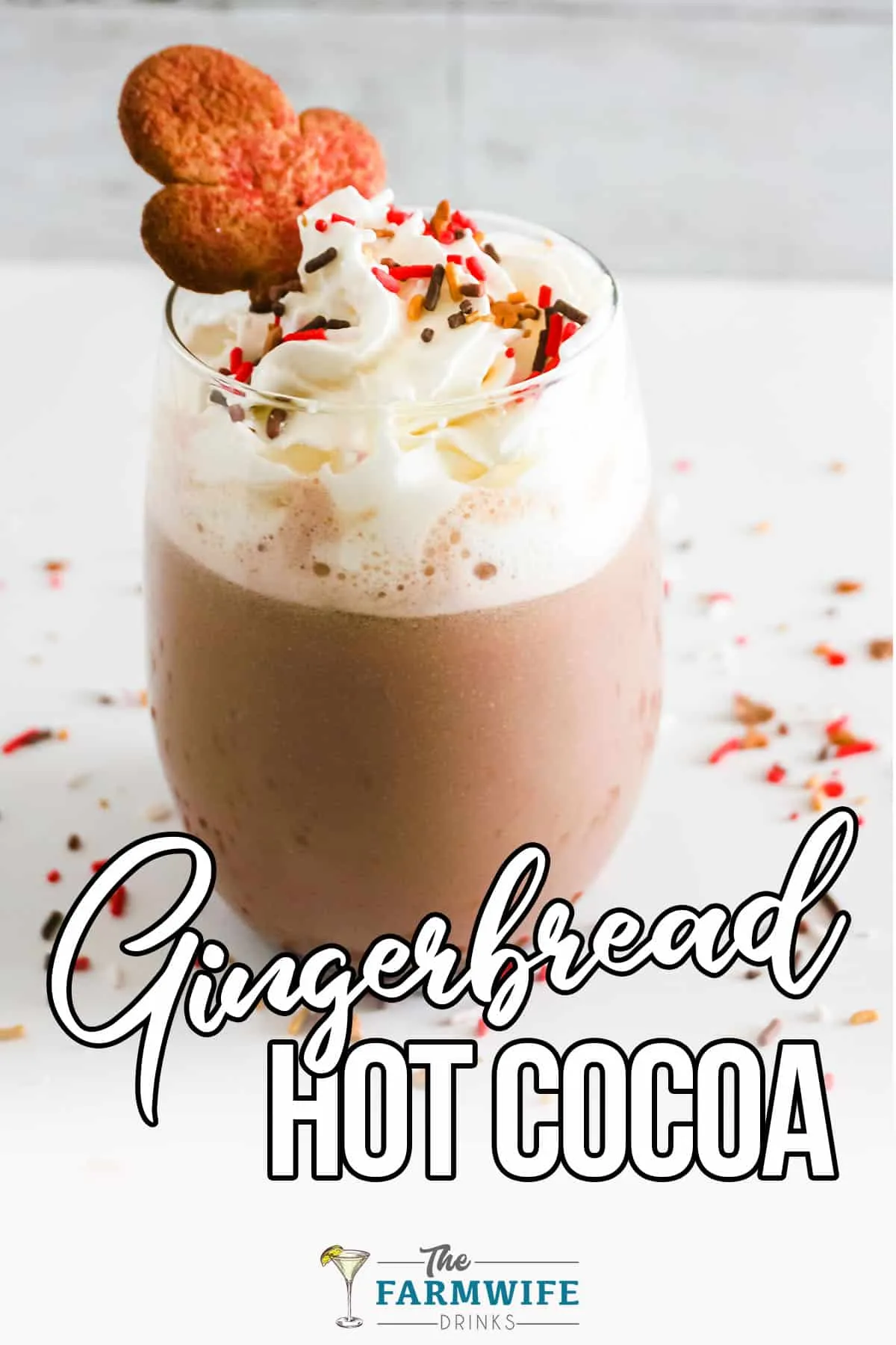 Bourbon Gingerbread Hot Cocoa