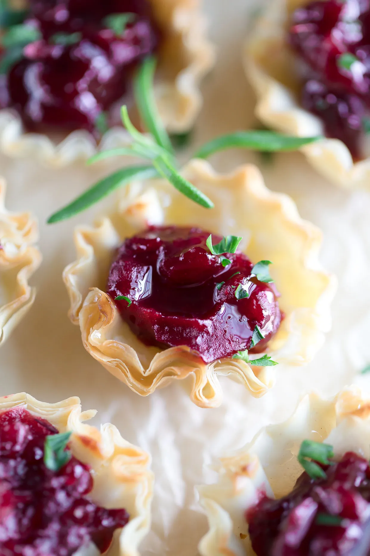 Brie Cranberry Bites in Phyllo Shells
