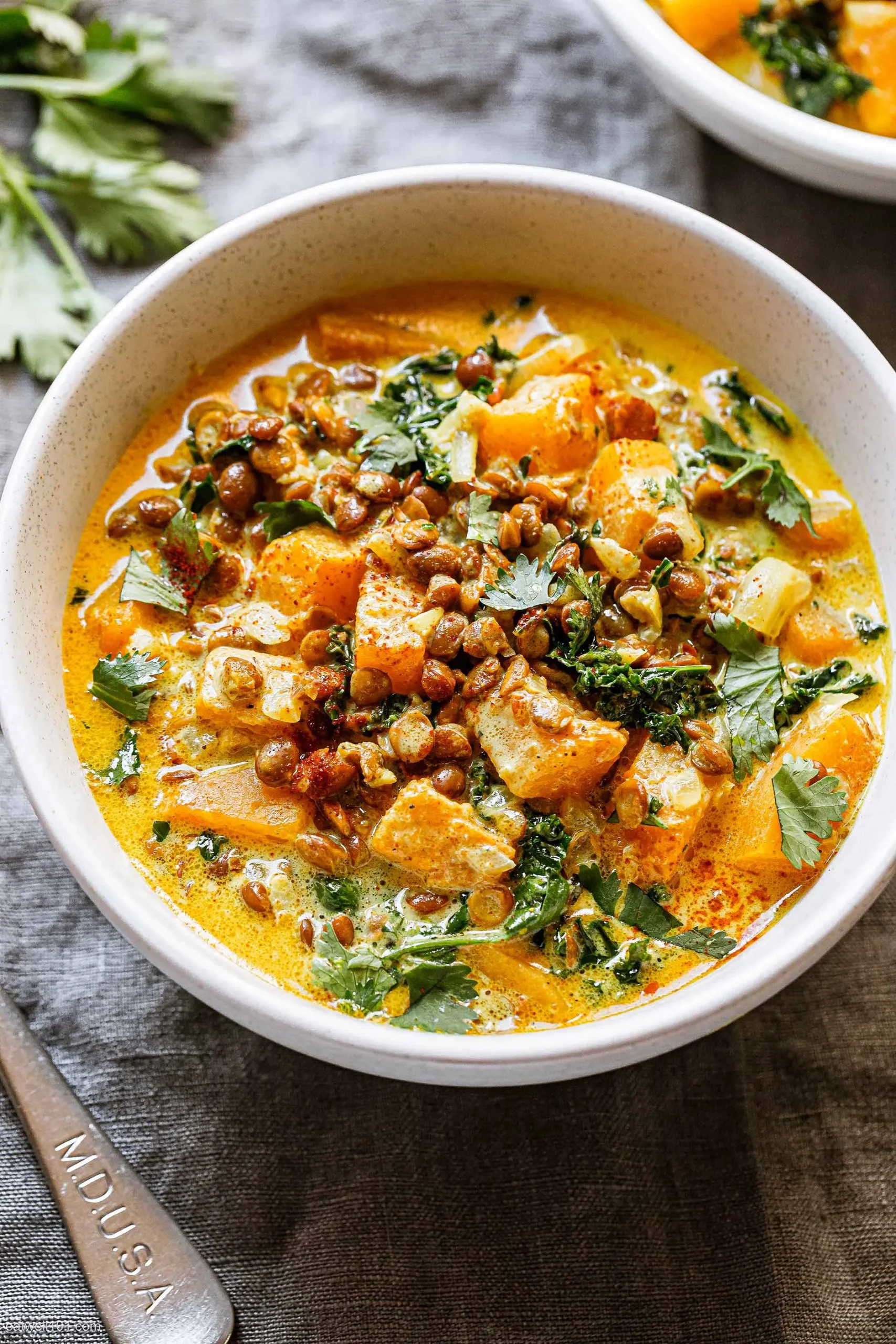 Butternut Squash Lentil Chicken Stew
