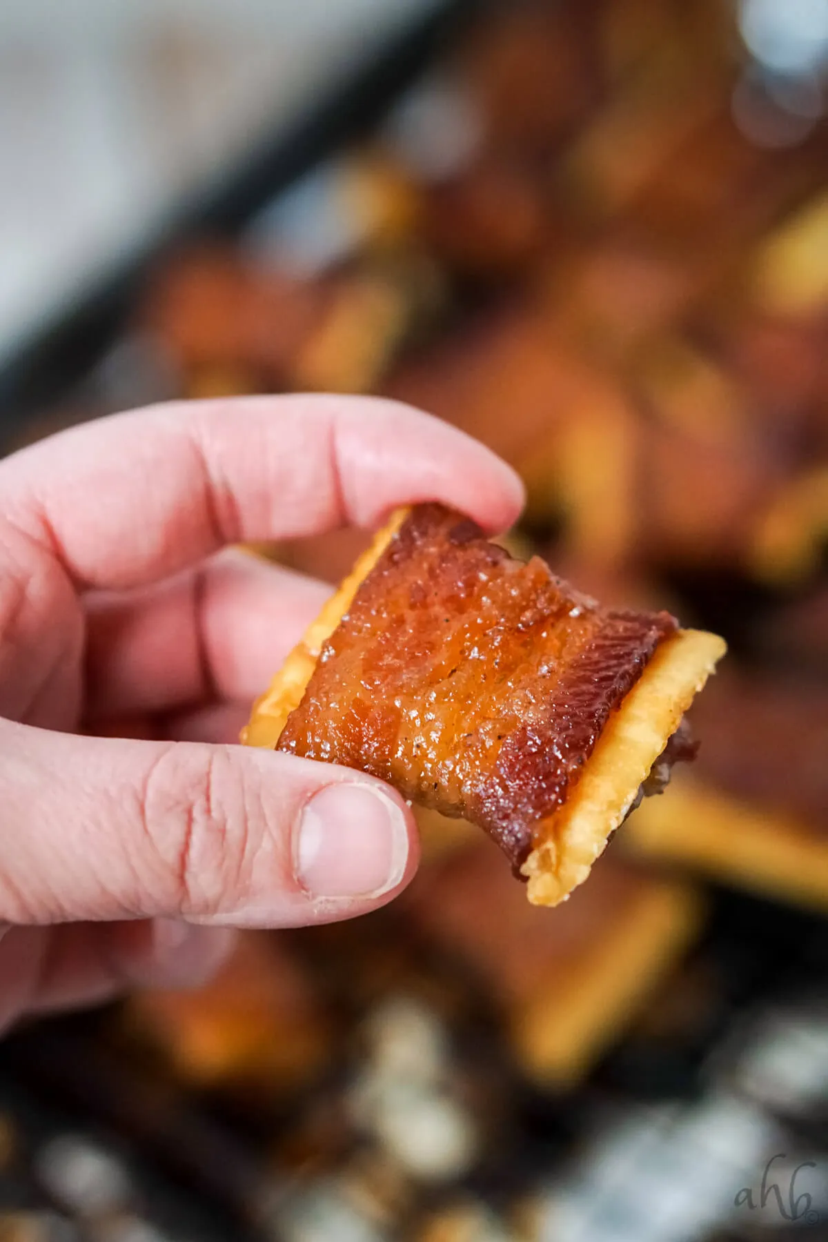 Cajun Candied Bacon Crackers