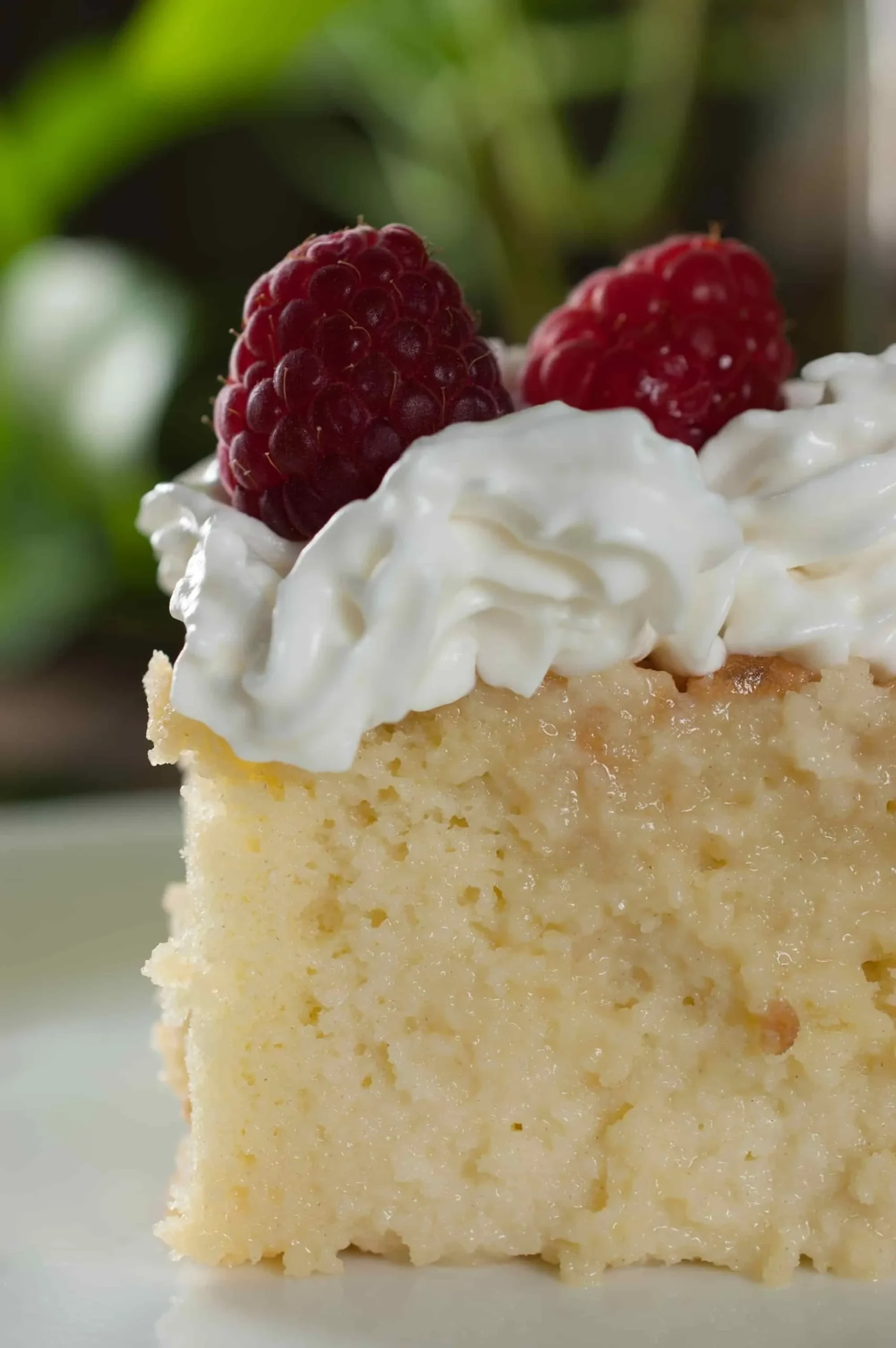 Candy Cap Tres Leches Cake