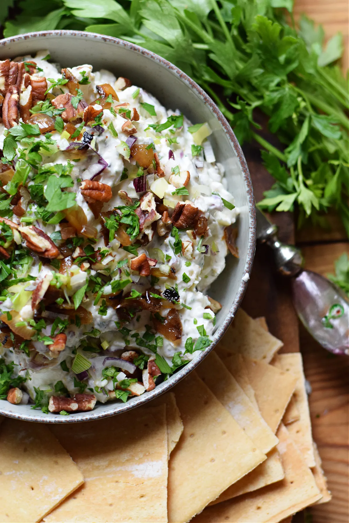 Caramelized Onion Goat Cheese Dip