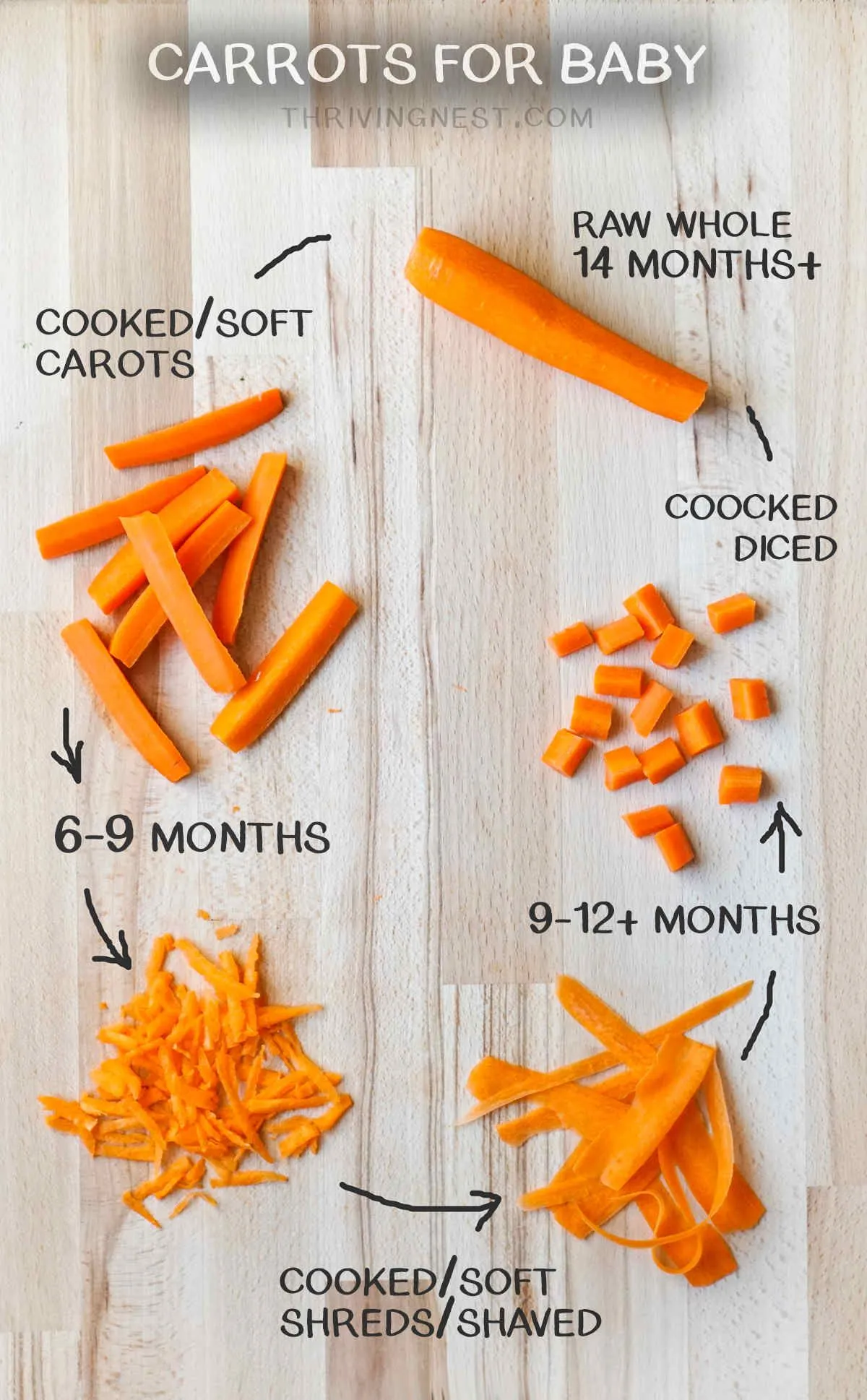 Carrot Baby Led Weaning