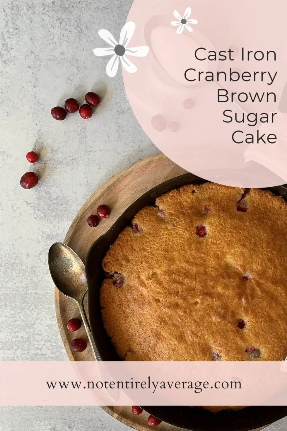 Cast Iron Cranberry Brown Sugar Cake