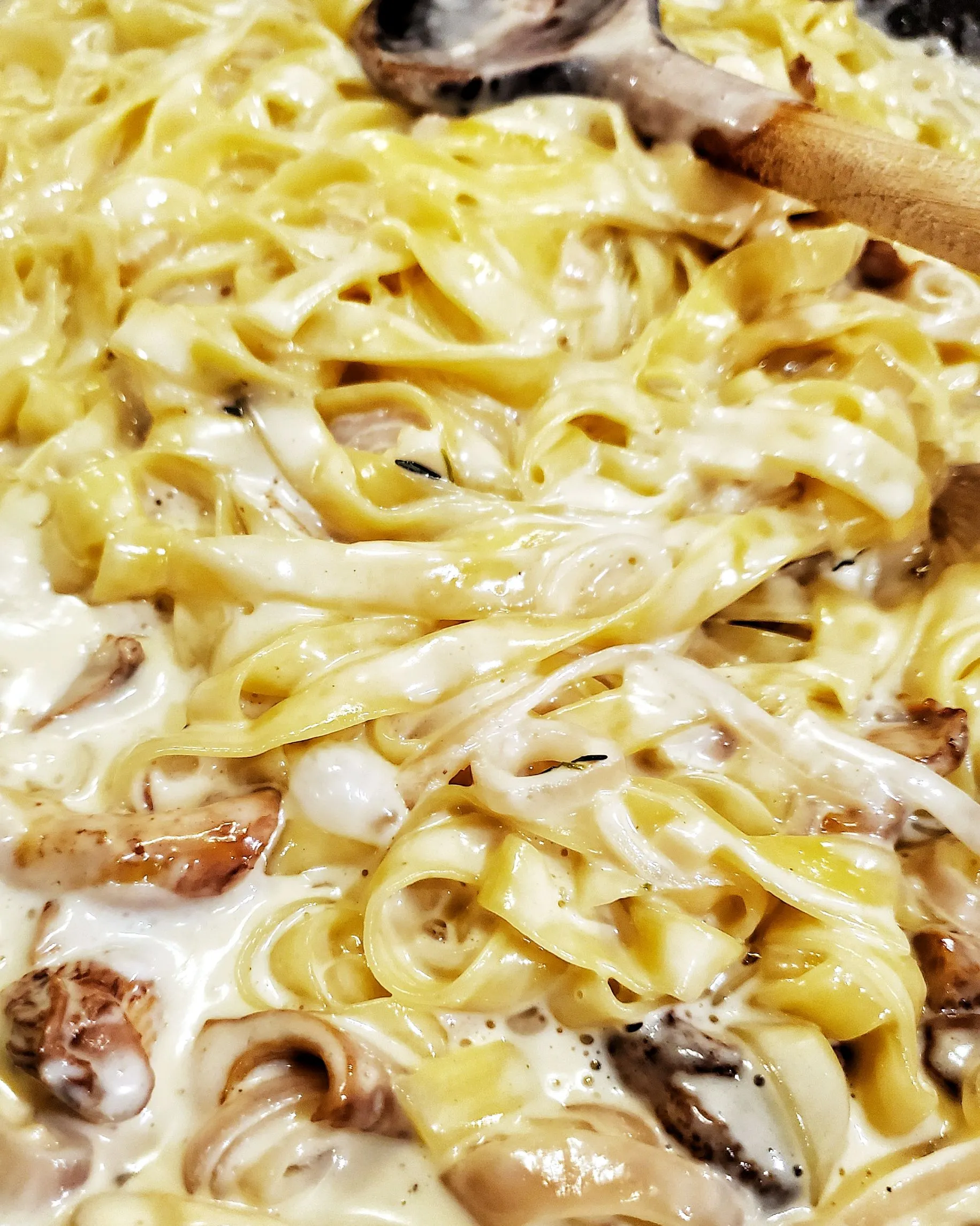 Chanterelle Mushroom Sauce Over Pasta