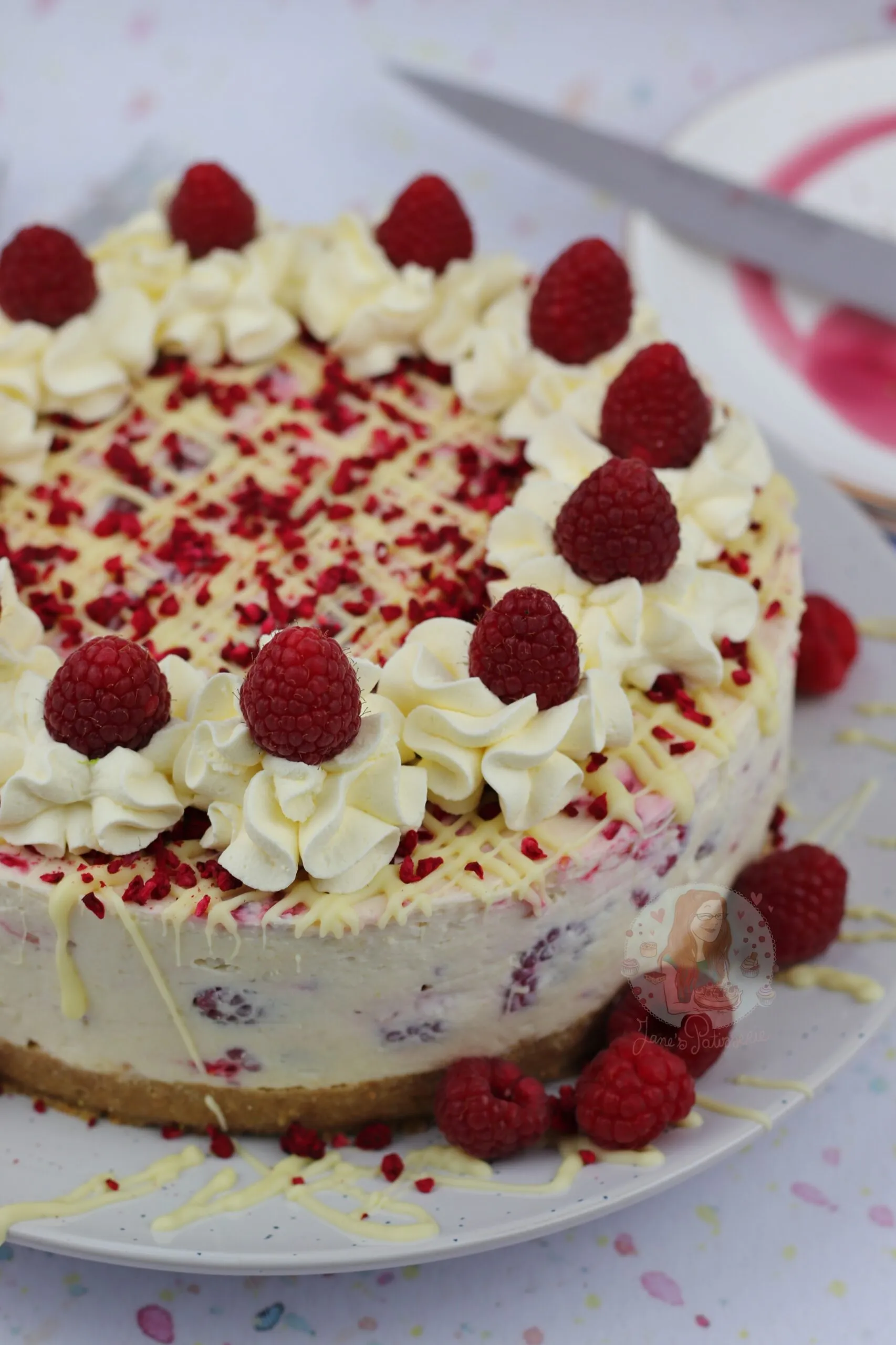Cheesecake with Raspberries and Chocolate