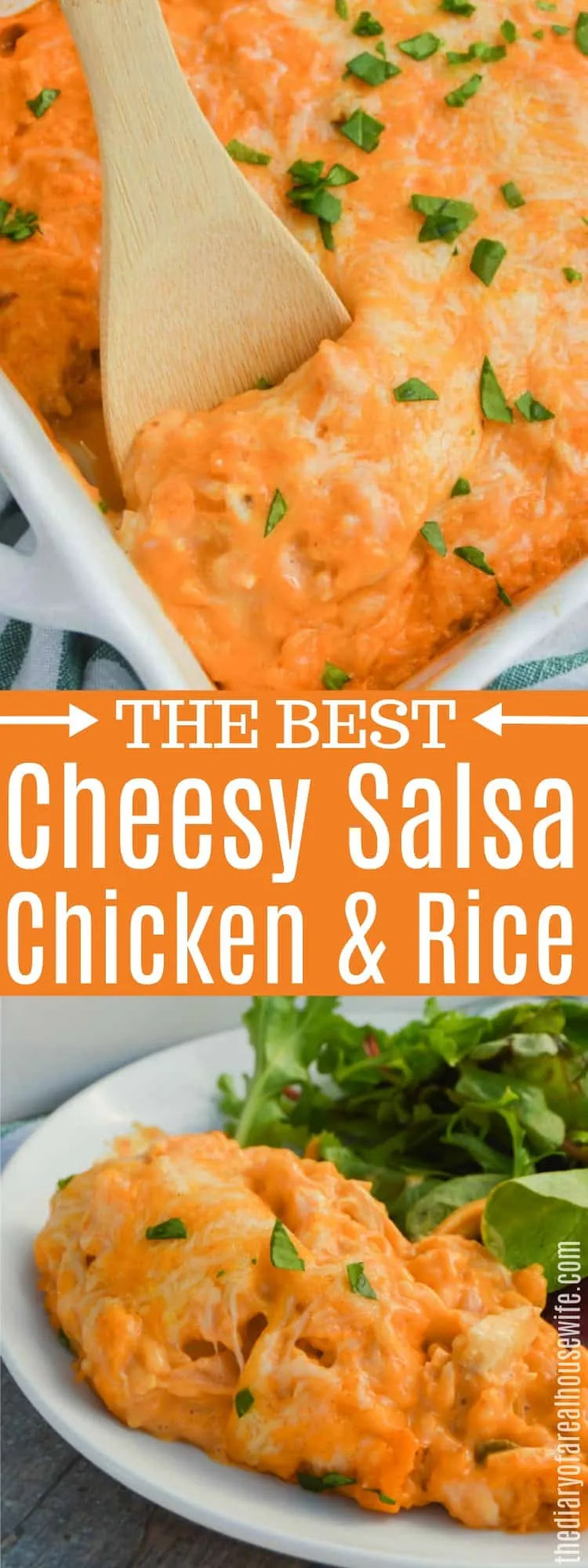 Cheesy Salsa Chicken Rice