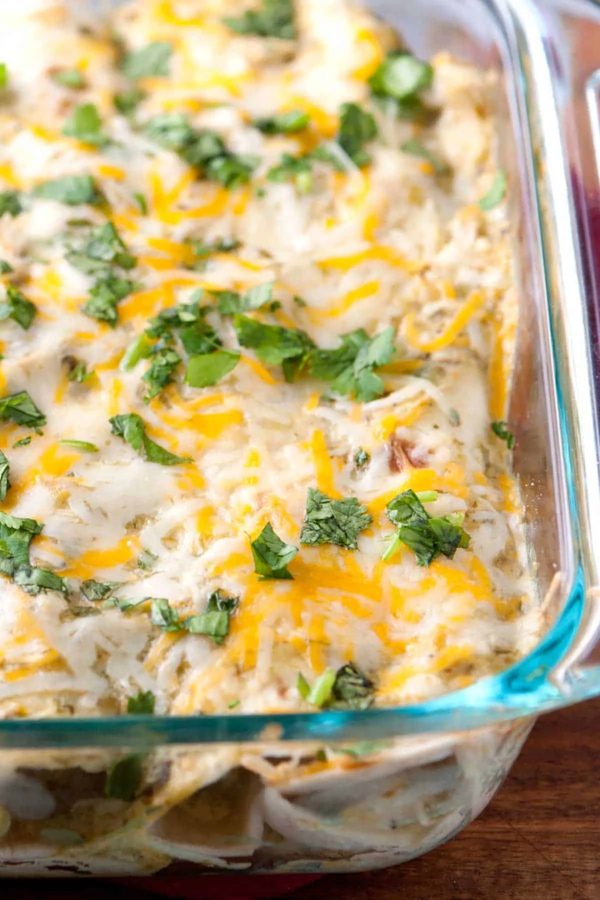 Chicken Enchiladas in Green Sauce