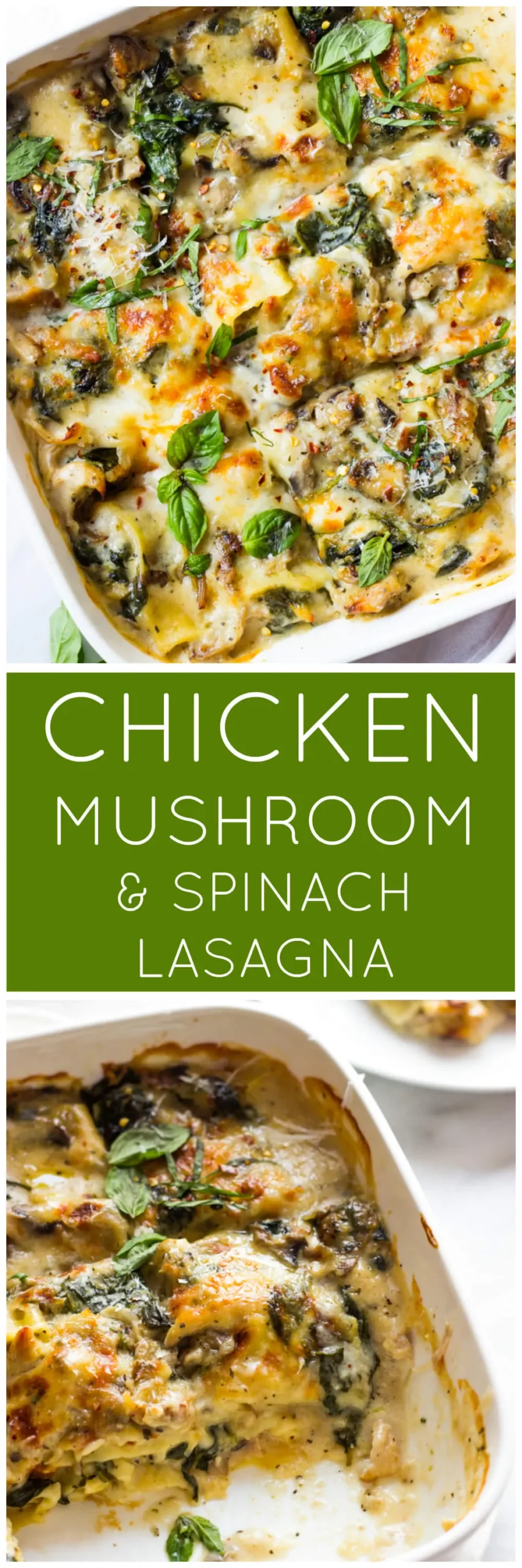 Chicken Mushroom and Spinach Lasagne