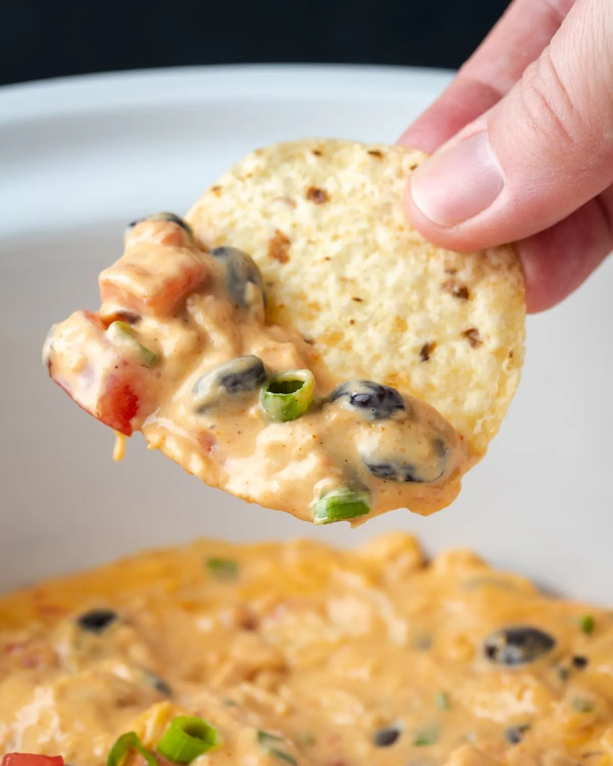 Chicken Nacho Cheese Dip