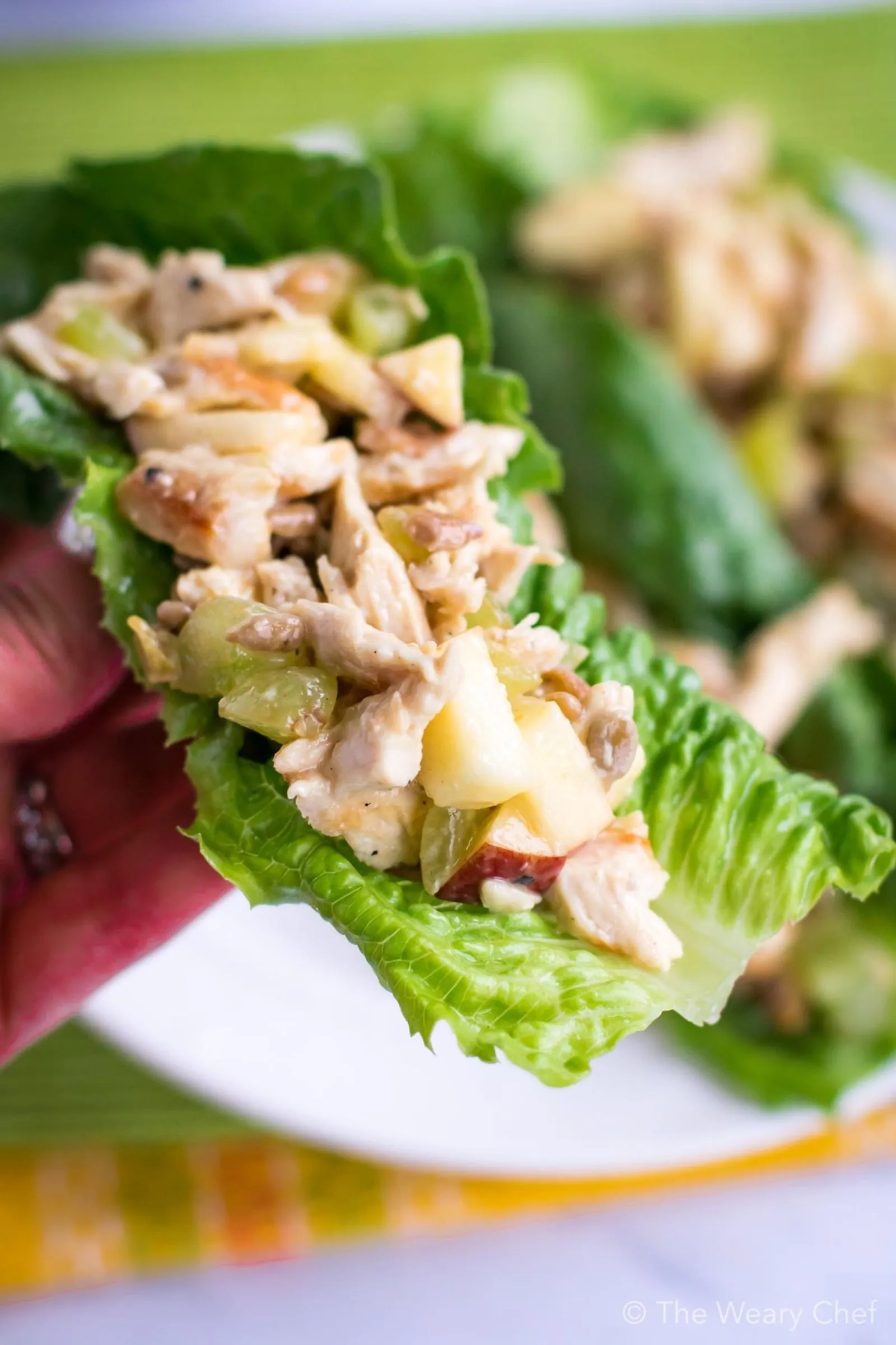 Chicken Salad Lettuce Wrap
