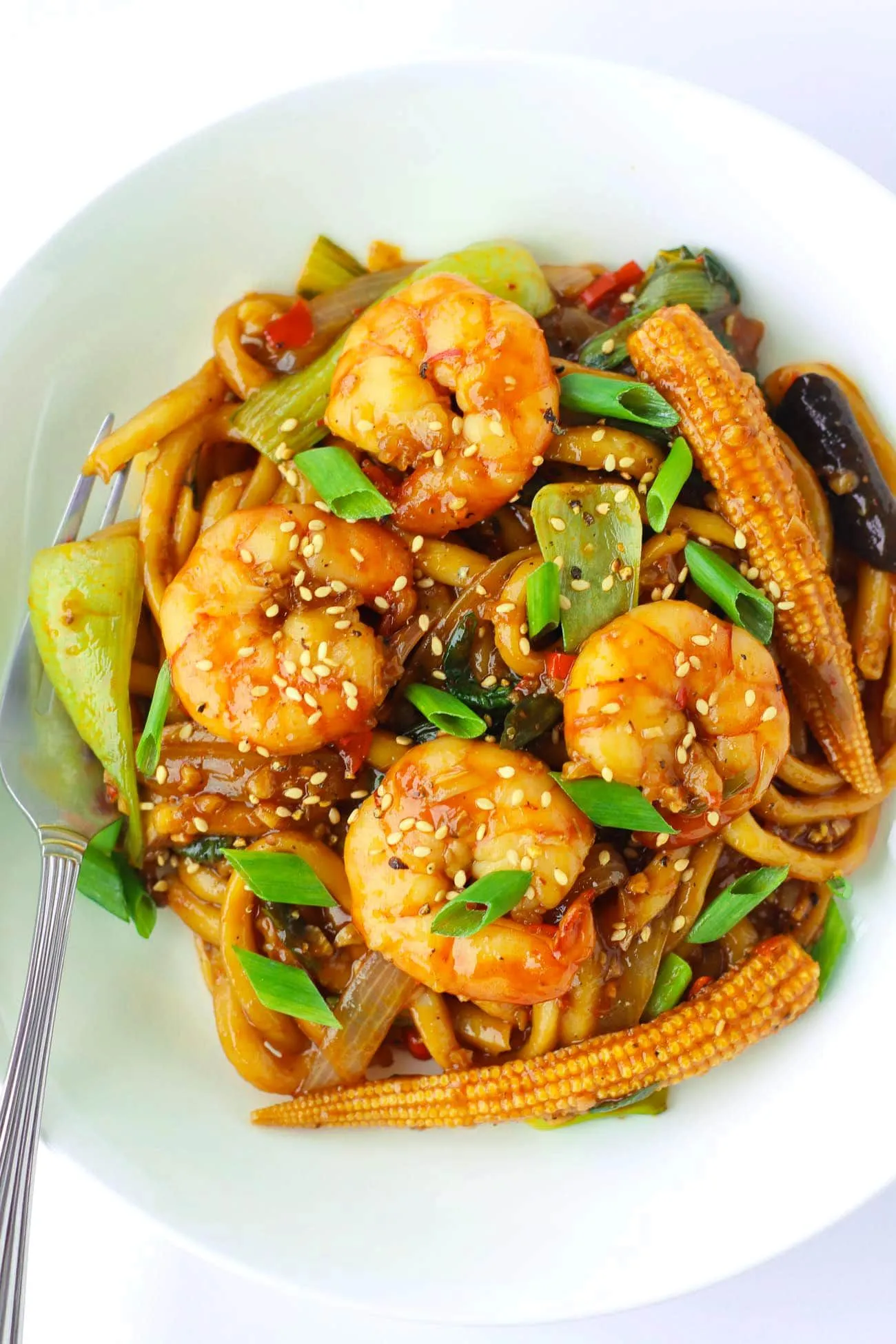 Chinese Sichuan Chicken Noodle Stir Fry