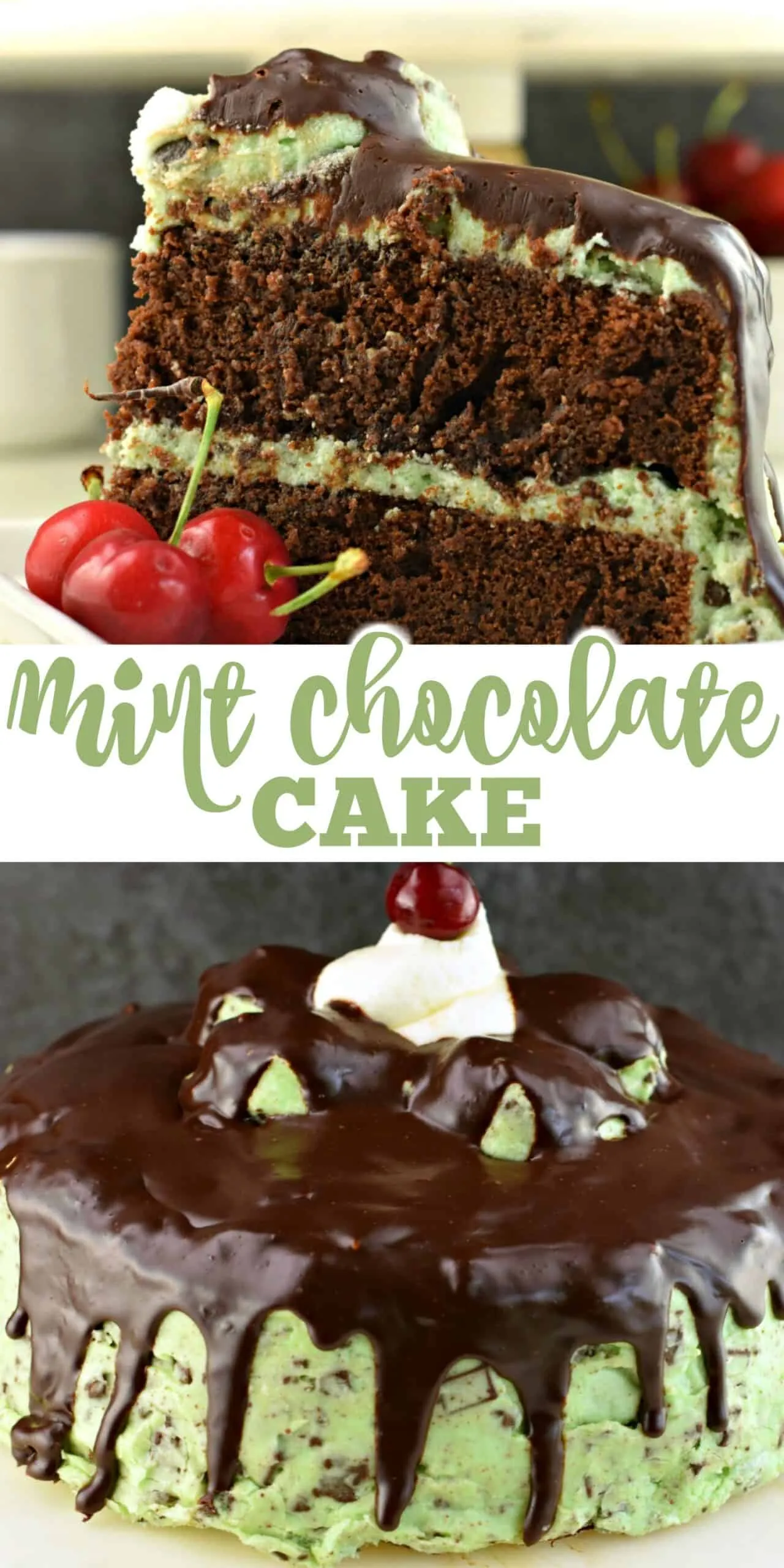 Chocolate Cake with Mint Chocolate Chip Frosting