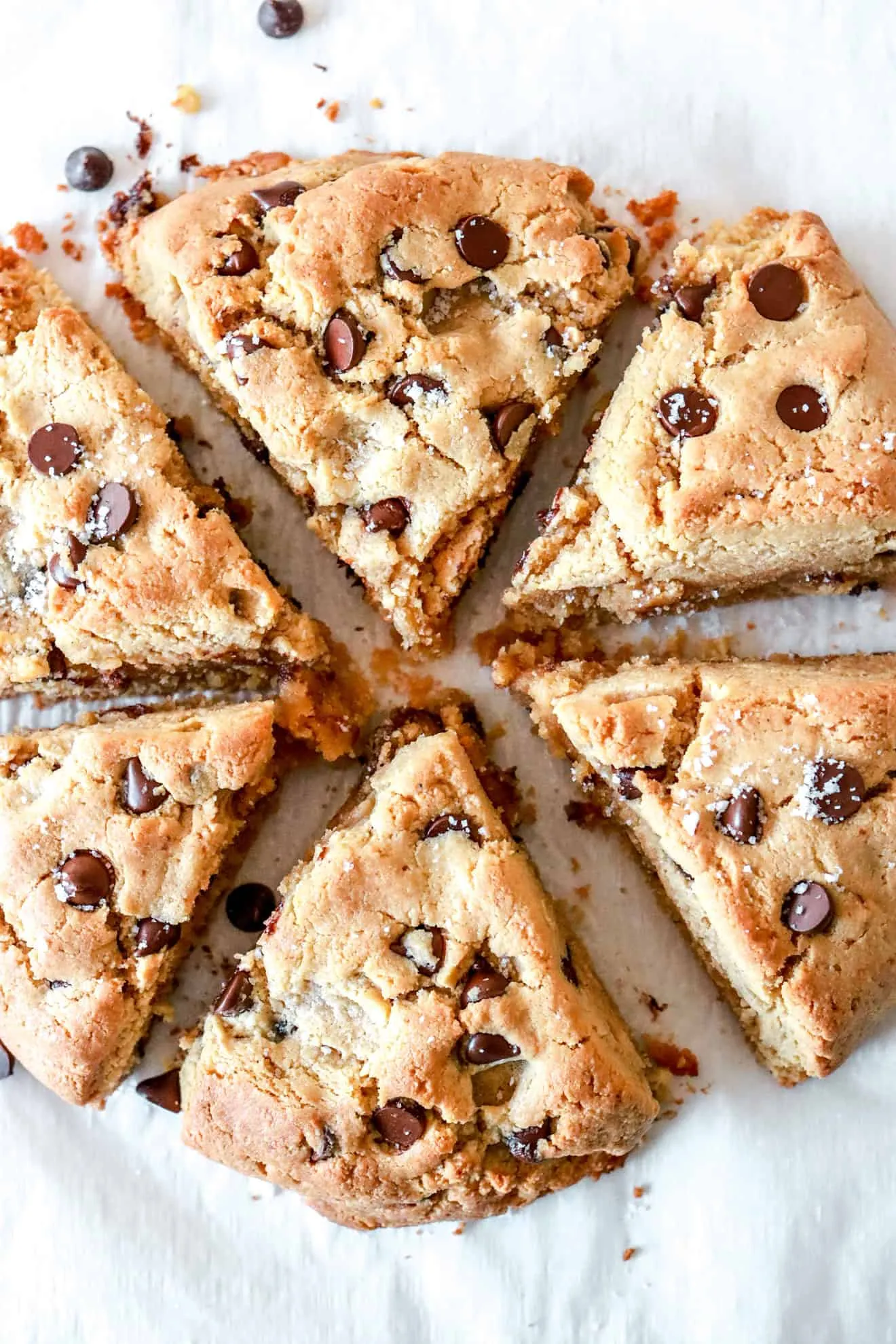 Chocolate Chip Gluten Free Scones