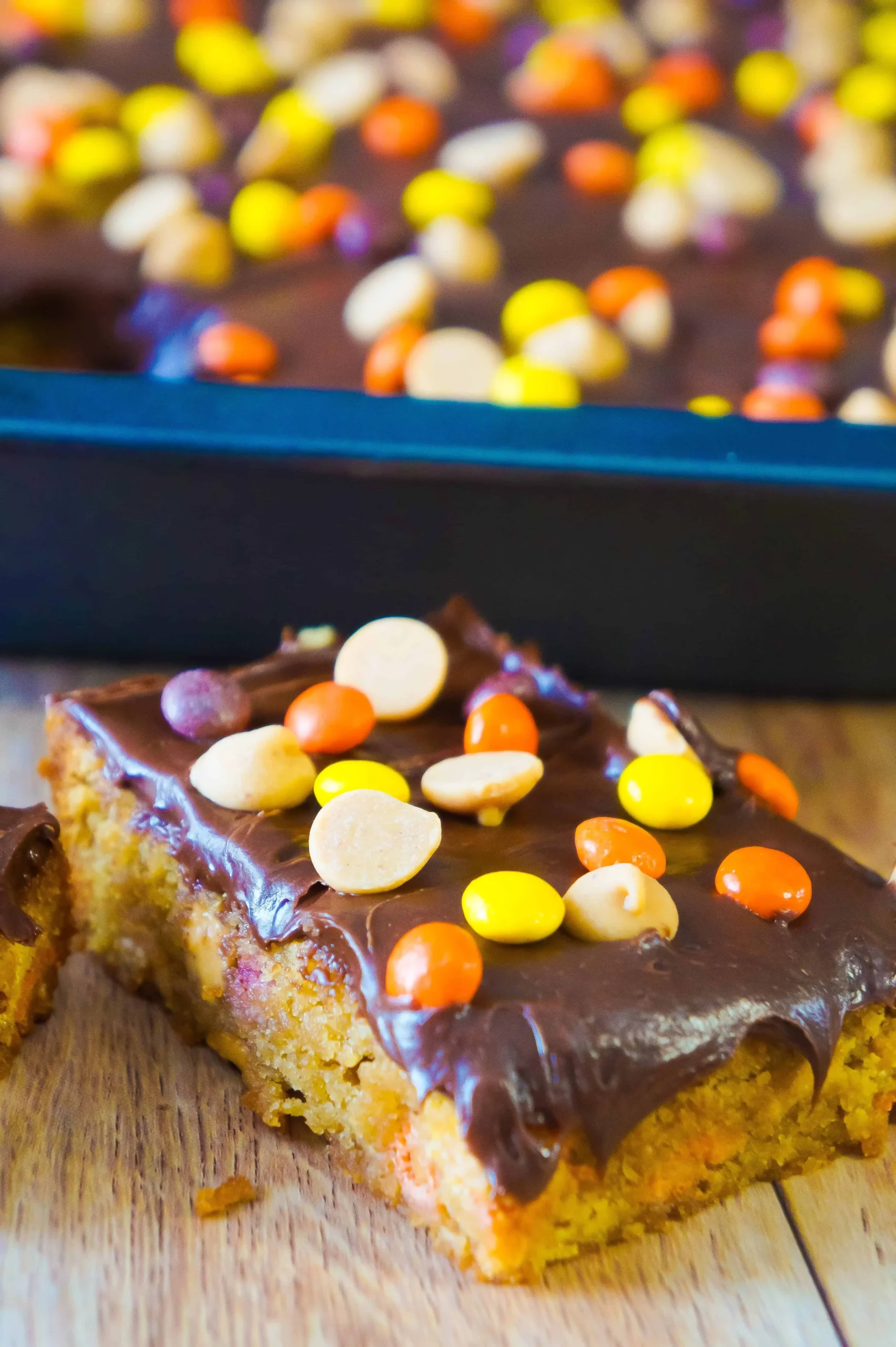 Chocolate Dipped Reese's Blondie Bars