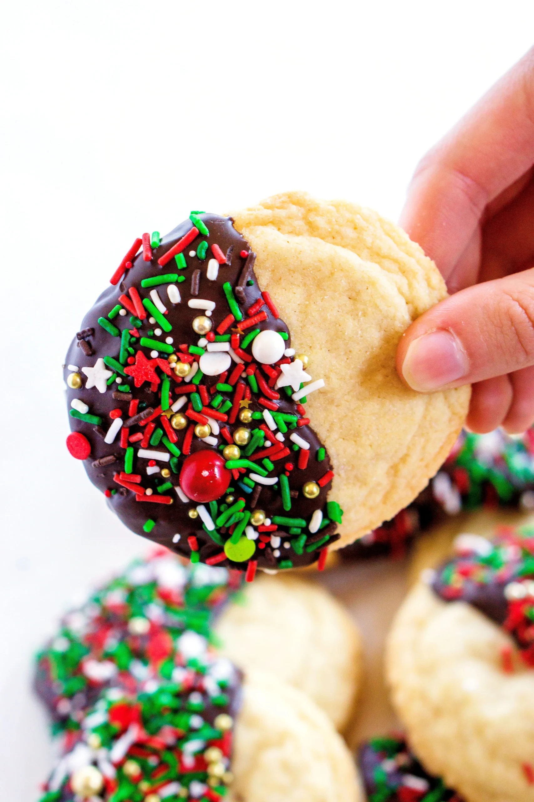 Chocolate Dipped Sugar Cookie