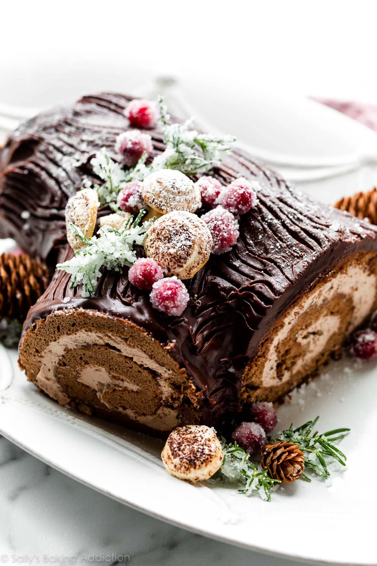 Chocolate Hazelnut Buche de Noel Yule Log