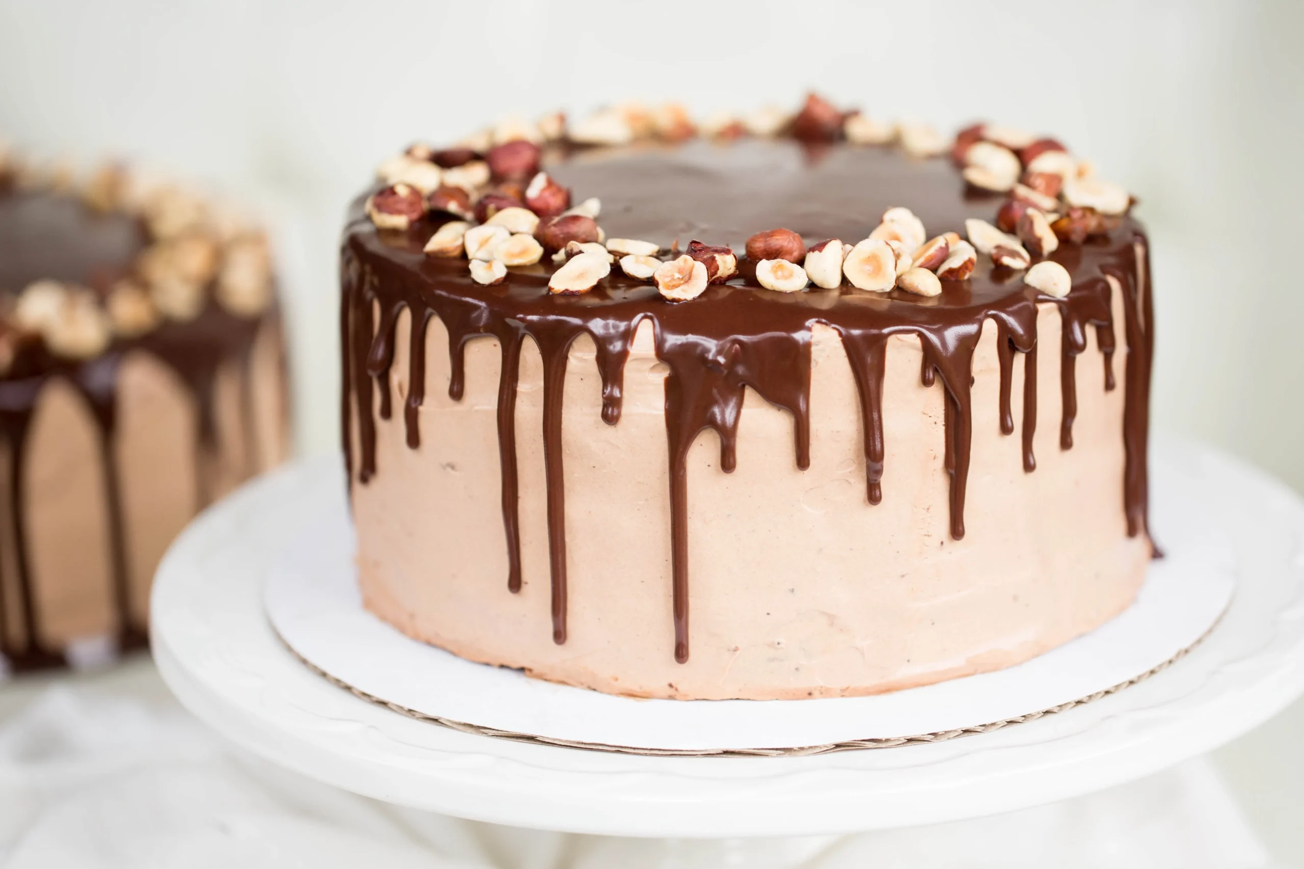 Chocolate Hazelnut Cake Torte