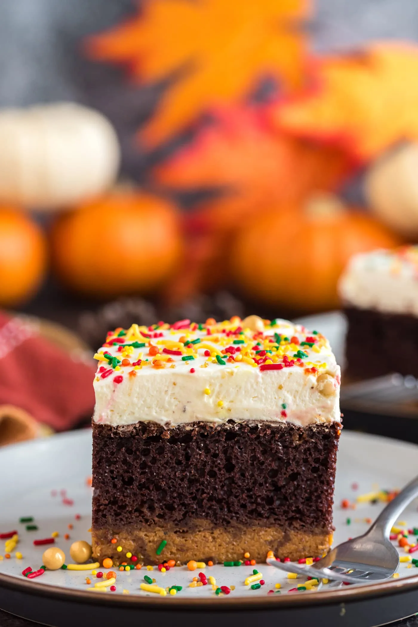 Chocolate Pumpkin Magic Cake