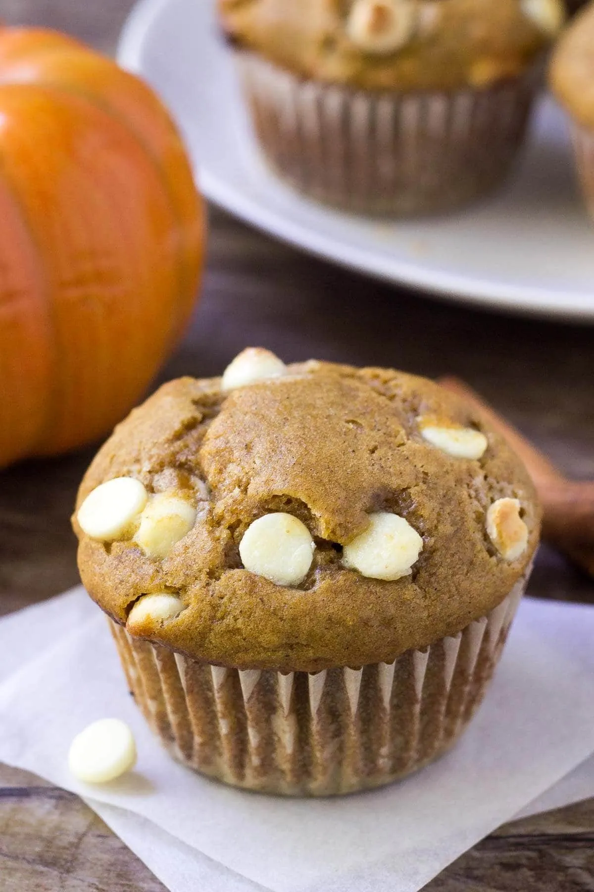 Chocolate White Chocolate Chip Muffins