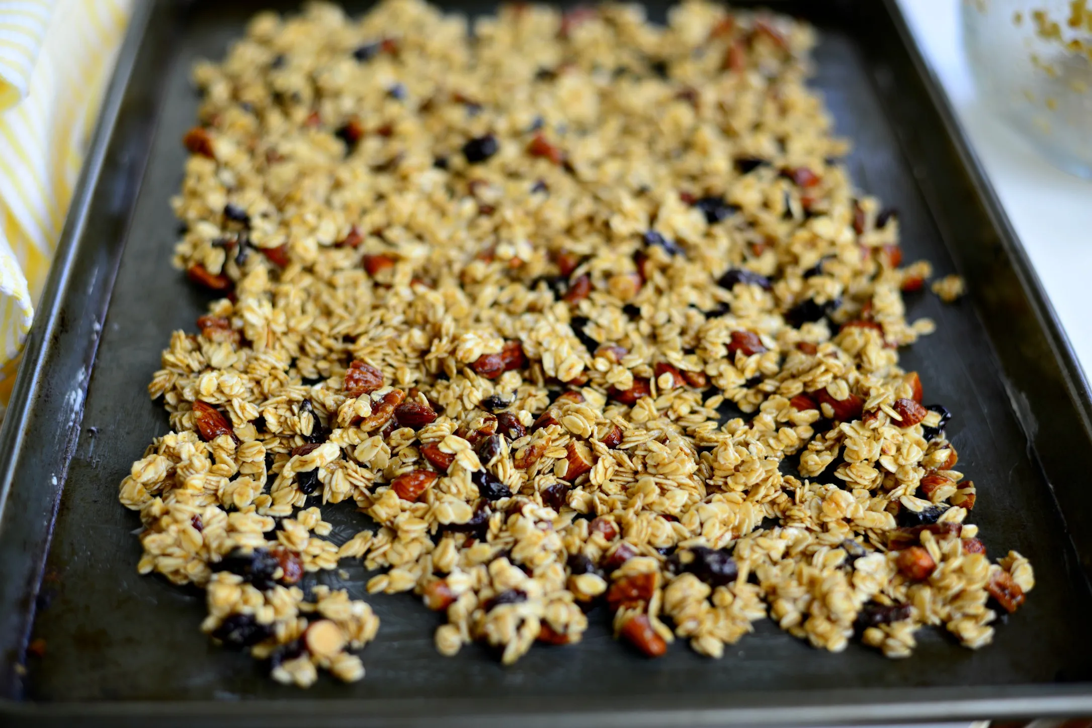 Chunky Chewy Fruit Nut Granola