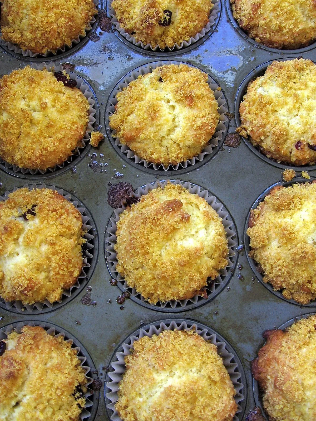 Cornmeal Cranberry and Yogurt Muffins