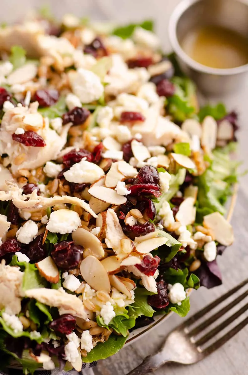 Cranberry Farro Chicken Salad