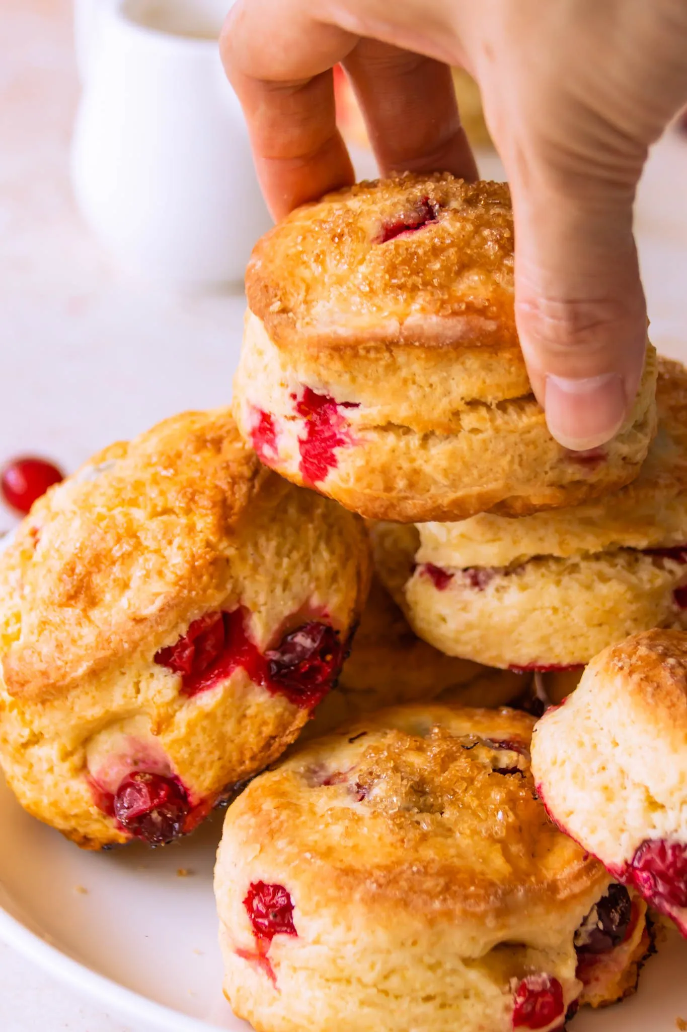 Cranberry Goat Cheese Scones