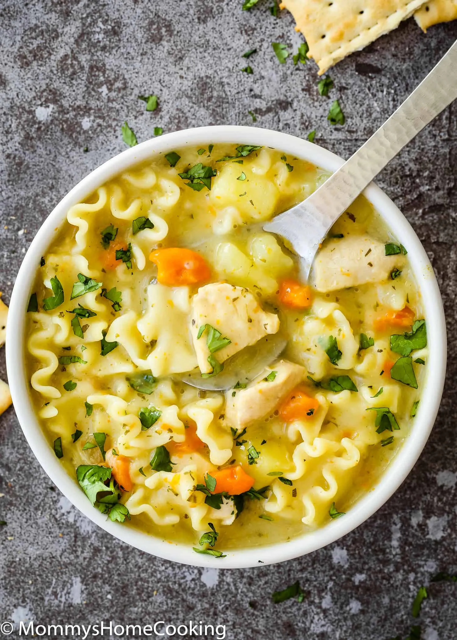 Creamy Chicken Noodle Soup Instant Pot